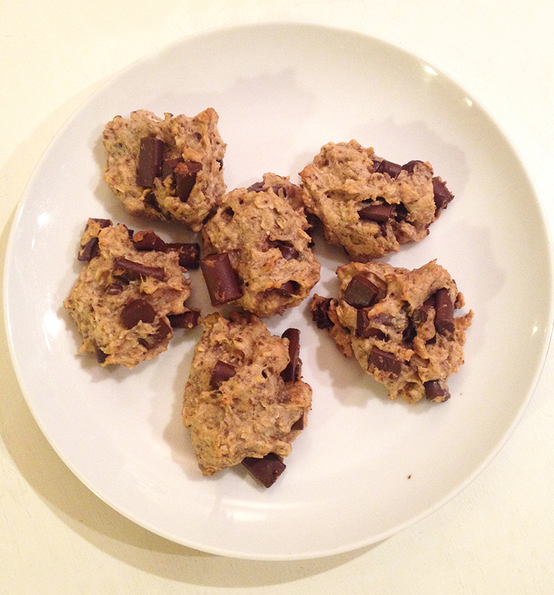 oatmeal chocolate chip lactation cookies