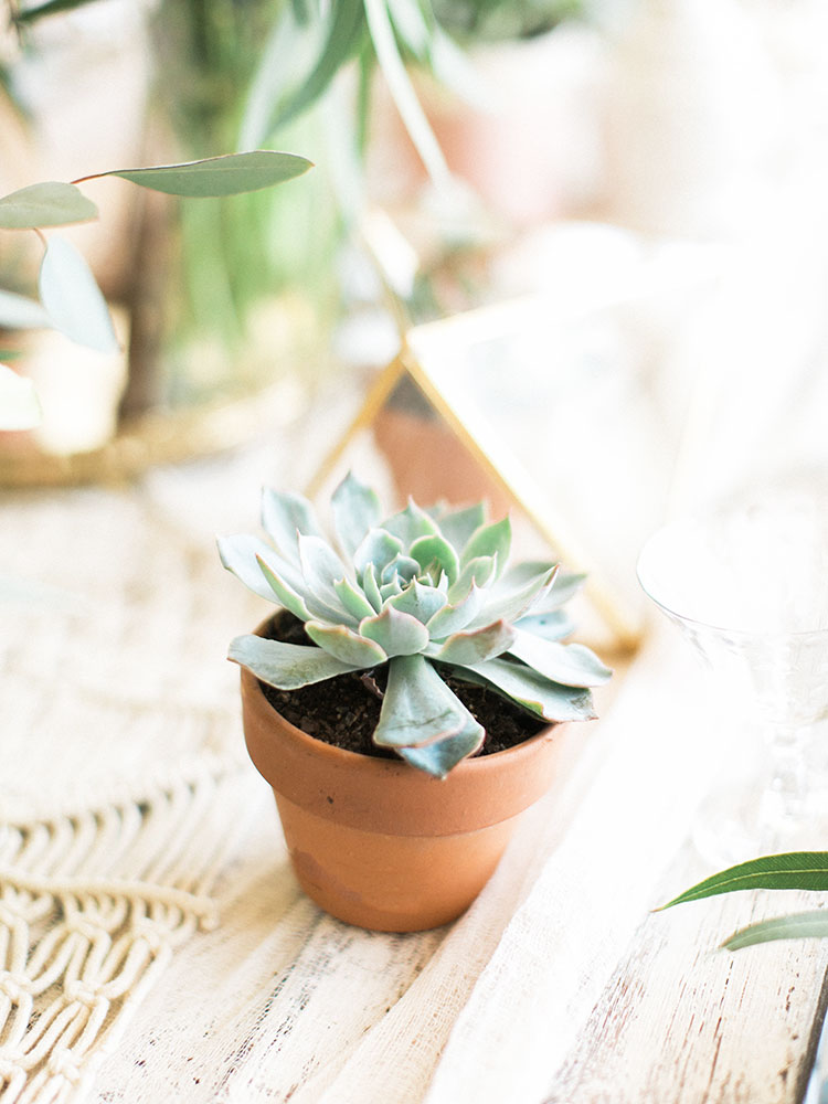 mini succulent | table design by paige of the love designed life