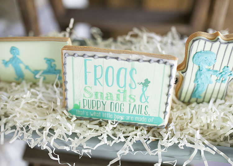 frogs, snails, and puppy dog tails, such a cute theme for a boy baby shower | the love designed life