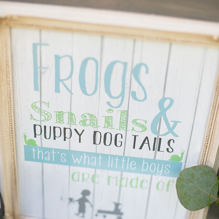 frogs, snails, & puppy dog tails - a boy themed baby shower | the love designed life