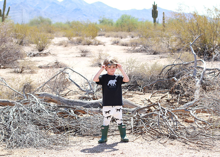 bear cub tee and horse print pants | the love designed life