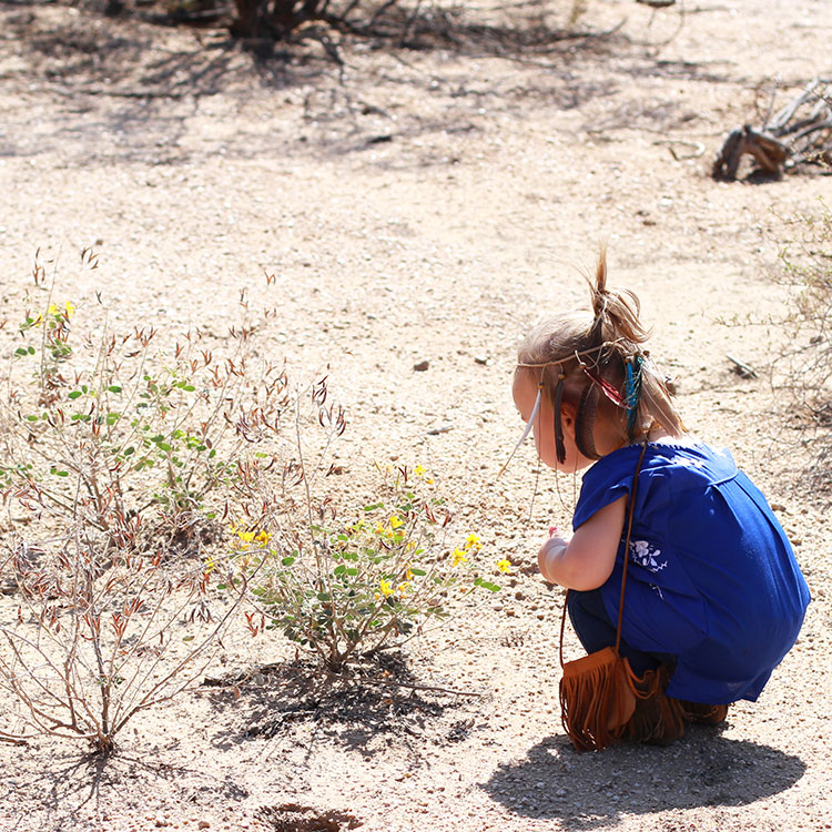 love this mini boho babe | the love designed life