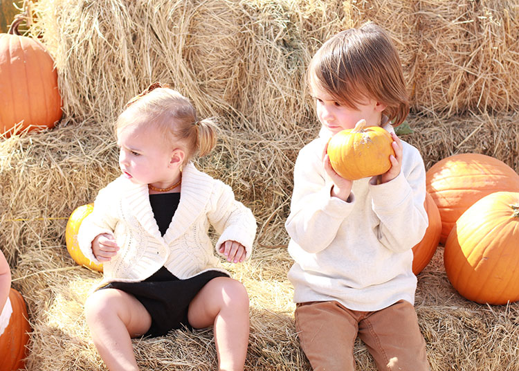 pumpkin picking | the love designed life