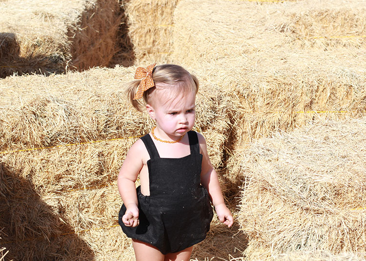 hay maze at the pumpkin patch | the love designed life