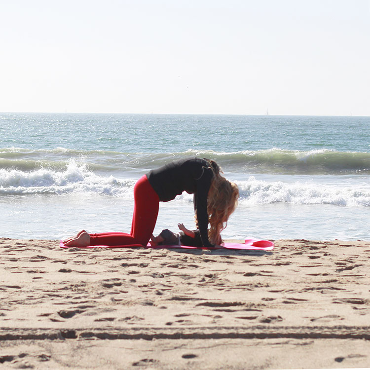 cat pose | m and m pilates on the beach | the love designed life