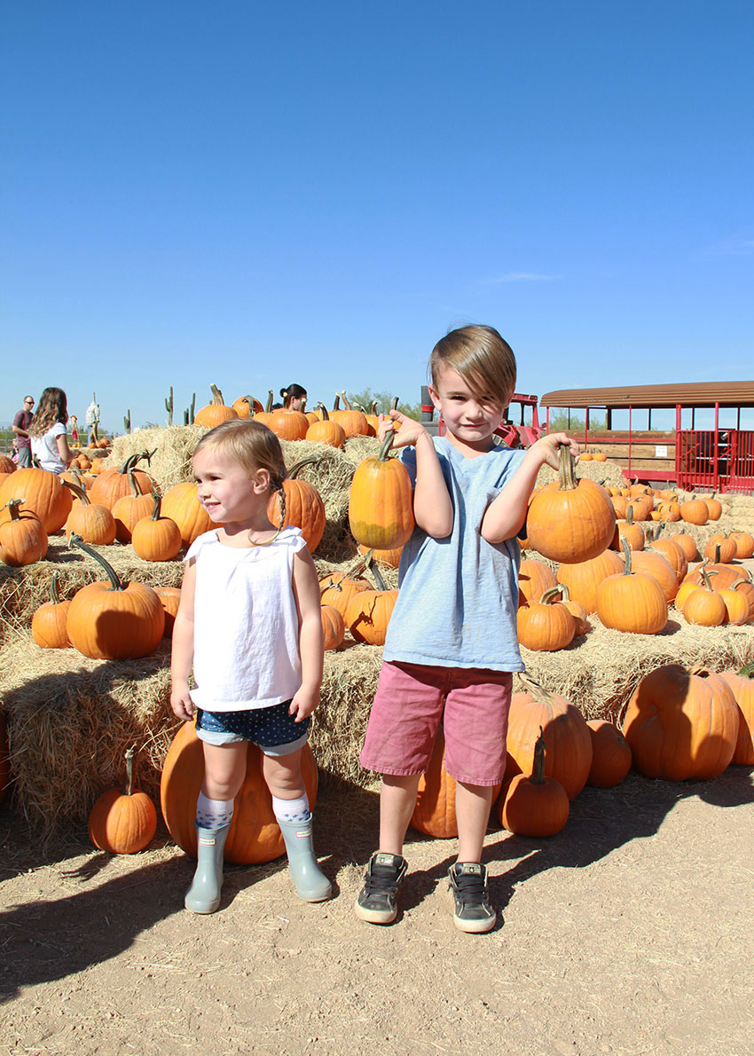 kids after my own heart wanting alllll the pumpkins | thelovedesignedlife.com