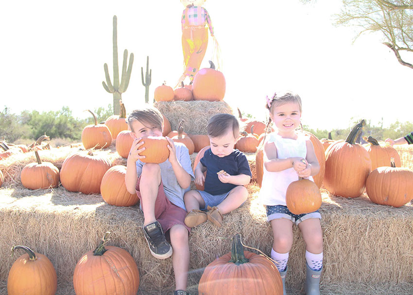 requisite pumpkin patch pic with the kiddos | thelovedesignedlife.com