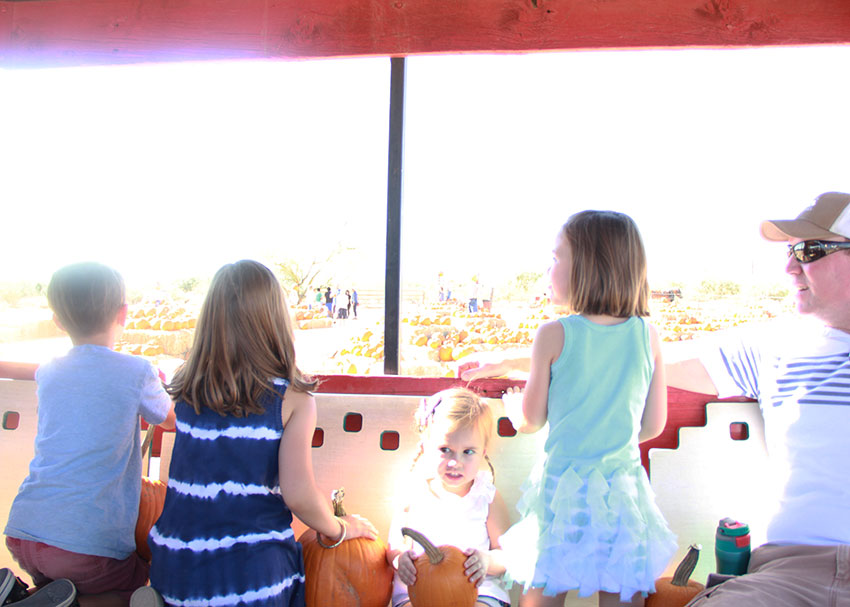 riding the 'train' to the pumpkin patch | thelovedesignedlife.com