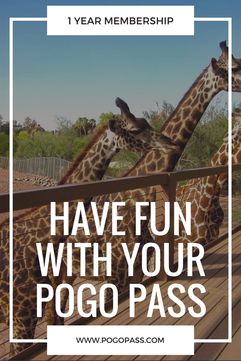 get 60% off of a POGO pass to tons of fun activities in phoenix! use code THELDLPOGO at check out | thelovedesignedlife.com