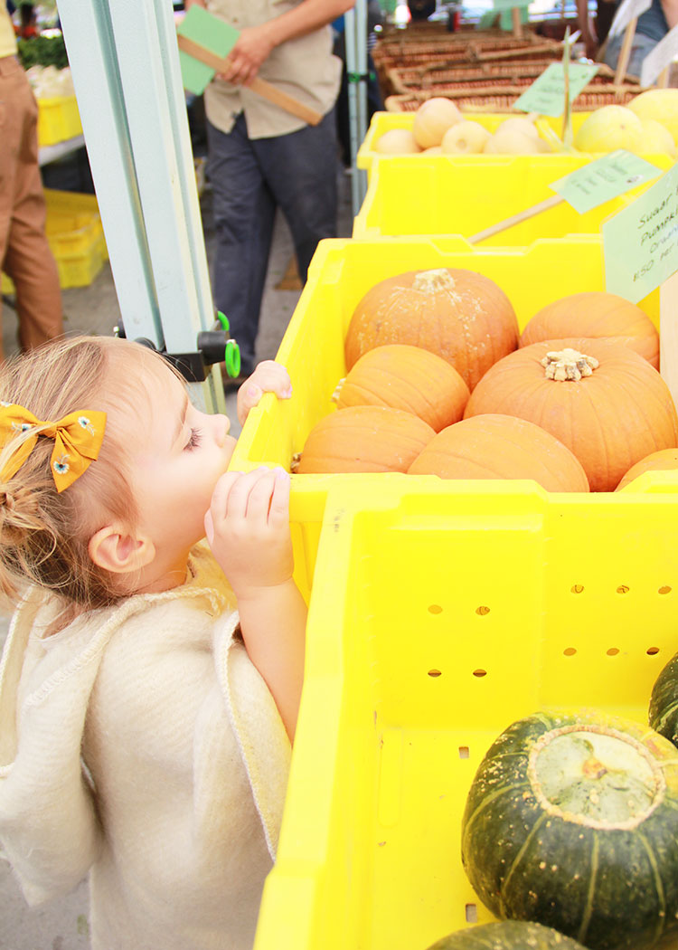 peeking at the pumpkins | thelovedesignedlife.com