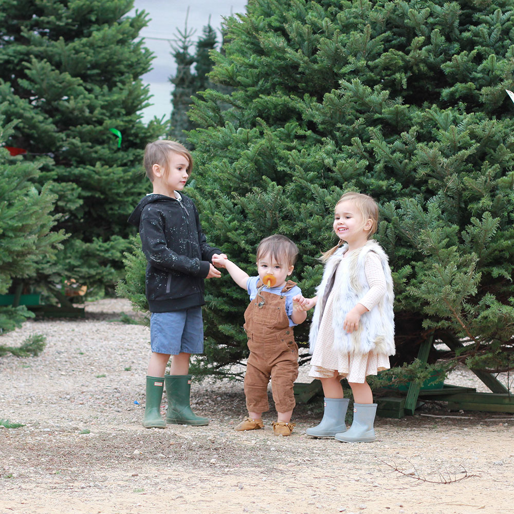 our annual christmas tree hunt | thelovedesignedlife.com