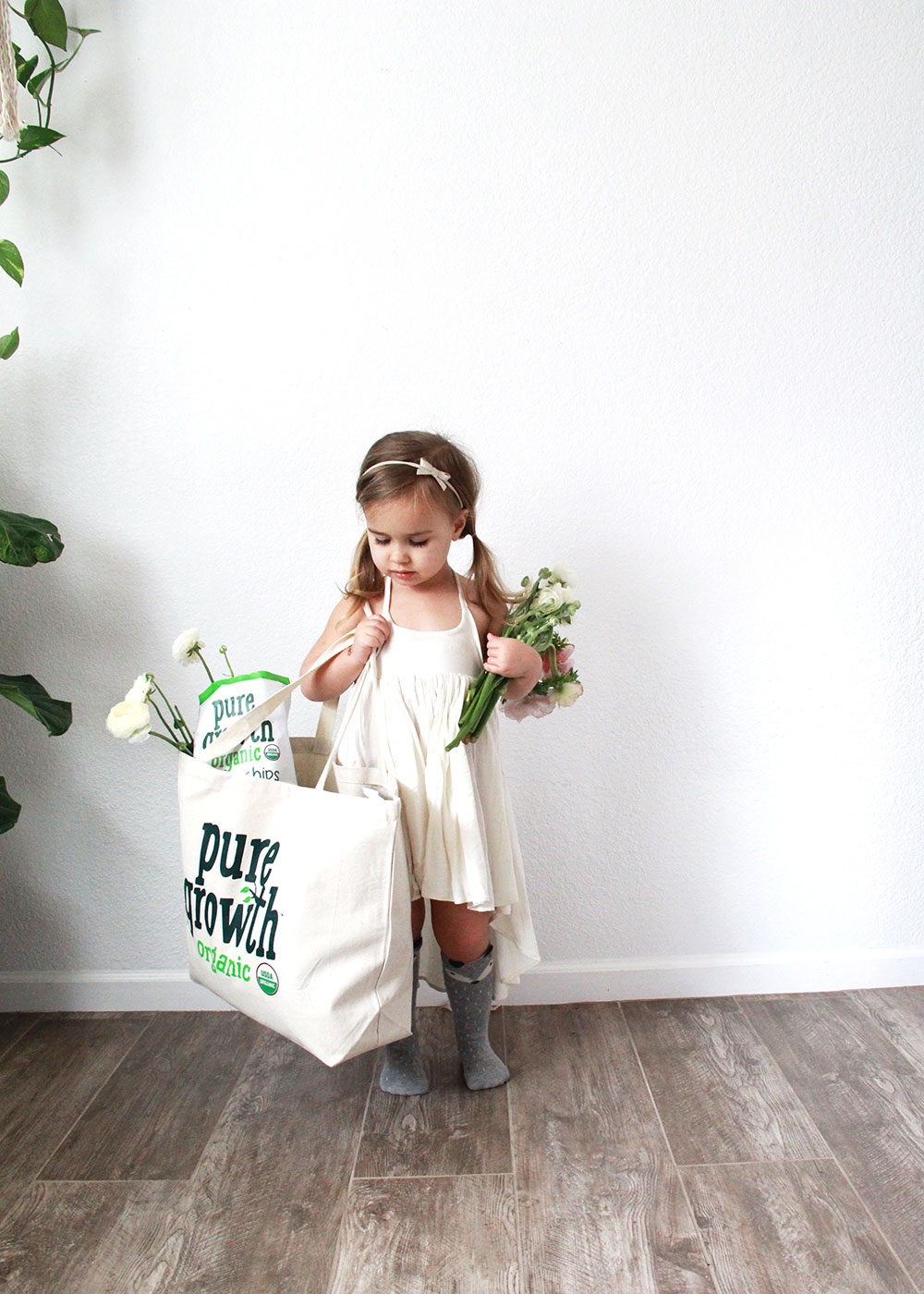 organic snacks from pure growth organic | thelovedesignedlife.com