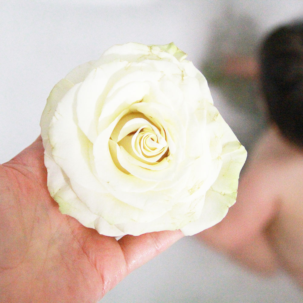 a rose headed for a baby milk bath | thelovedesignedlife.com