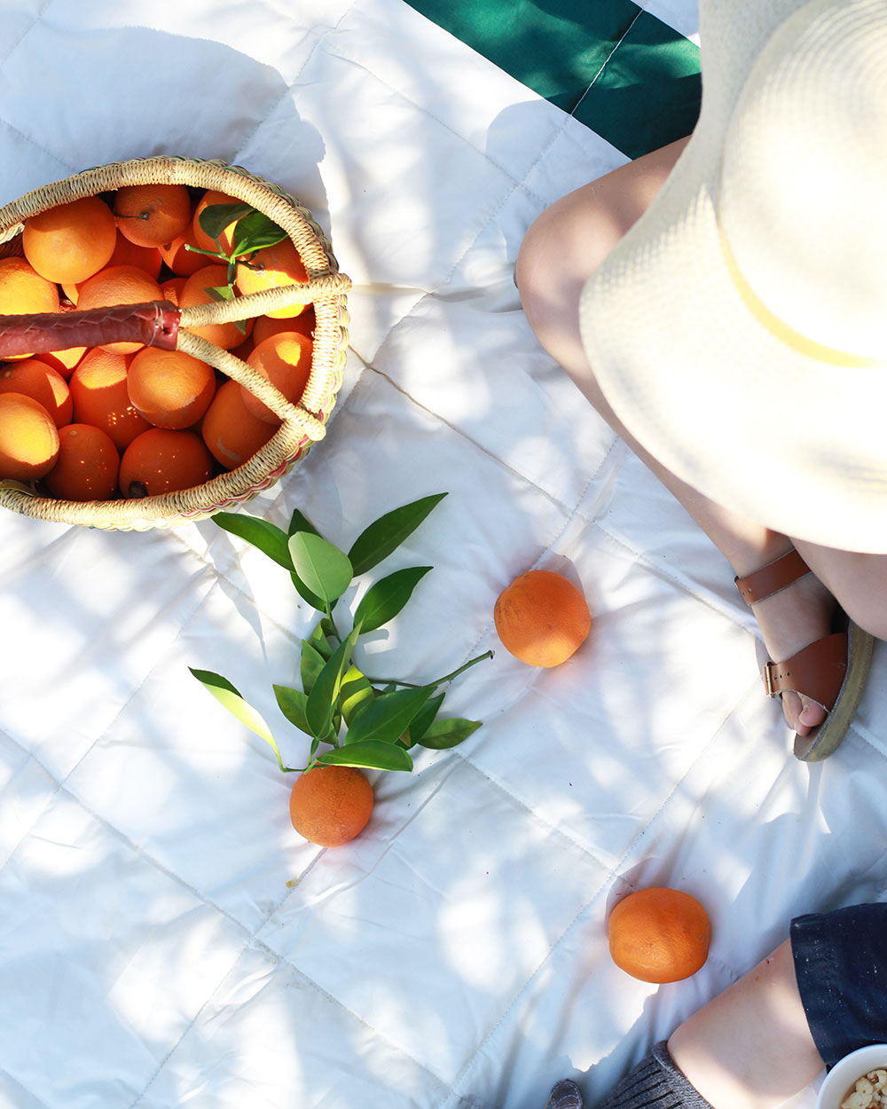 our new home has a backyard full of citrus trees! | thelovedesignedlife.com