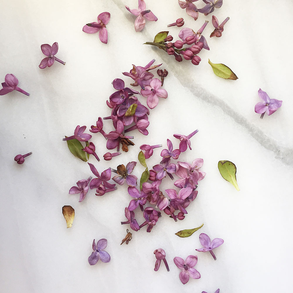 lilacs on marble | thelovedesignedlife.com