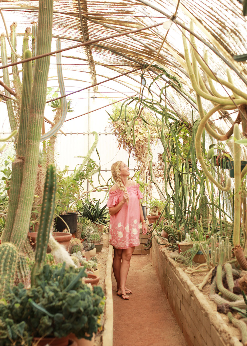 exploring the cactus gardens of palm springs, california on our girls trip | thelovedesignedlife.com