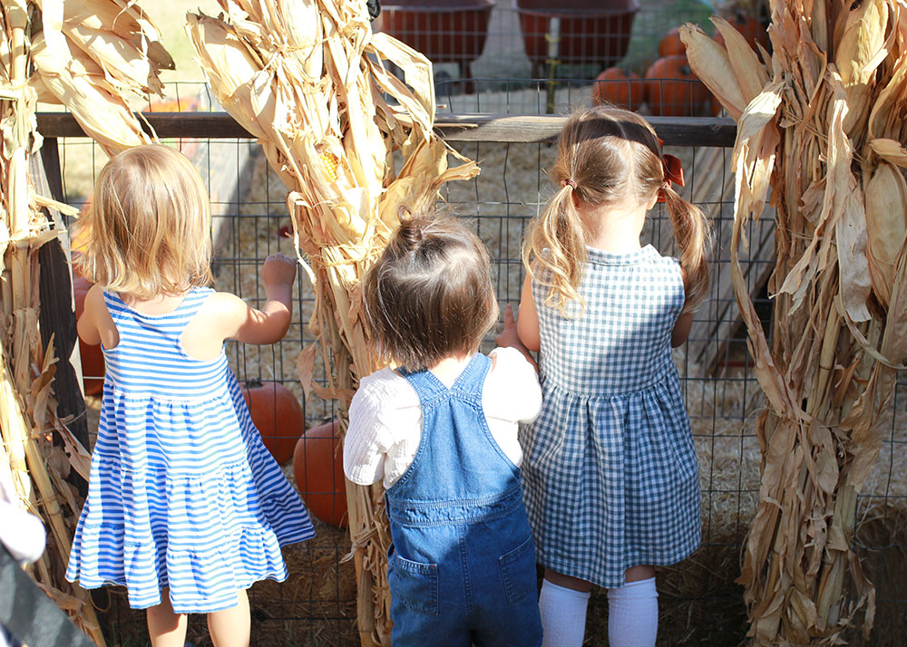 our october pumpkin patch farm visit | thelovedesignedlife.com