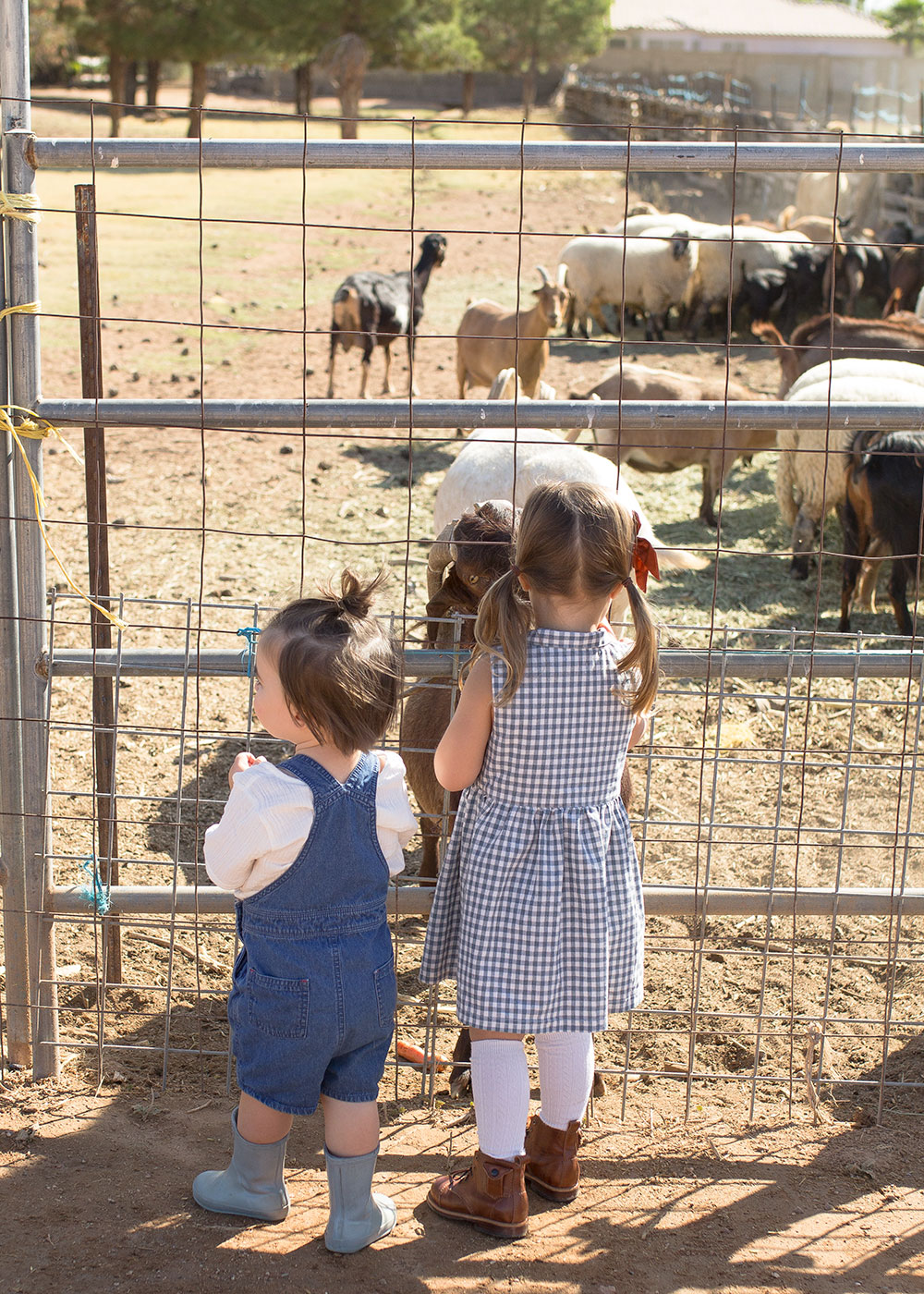 our october pumpkin patch farm visit | thelovedesignedlife.com