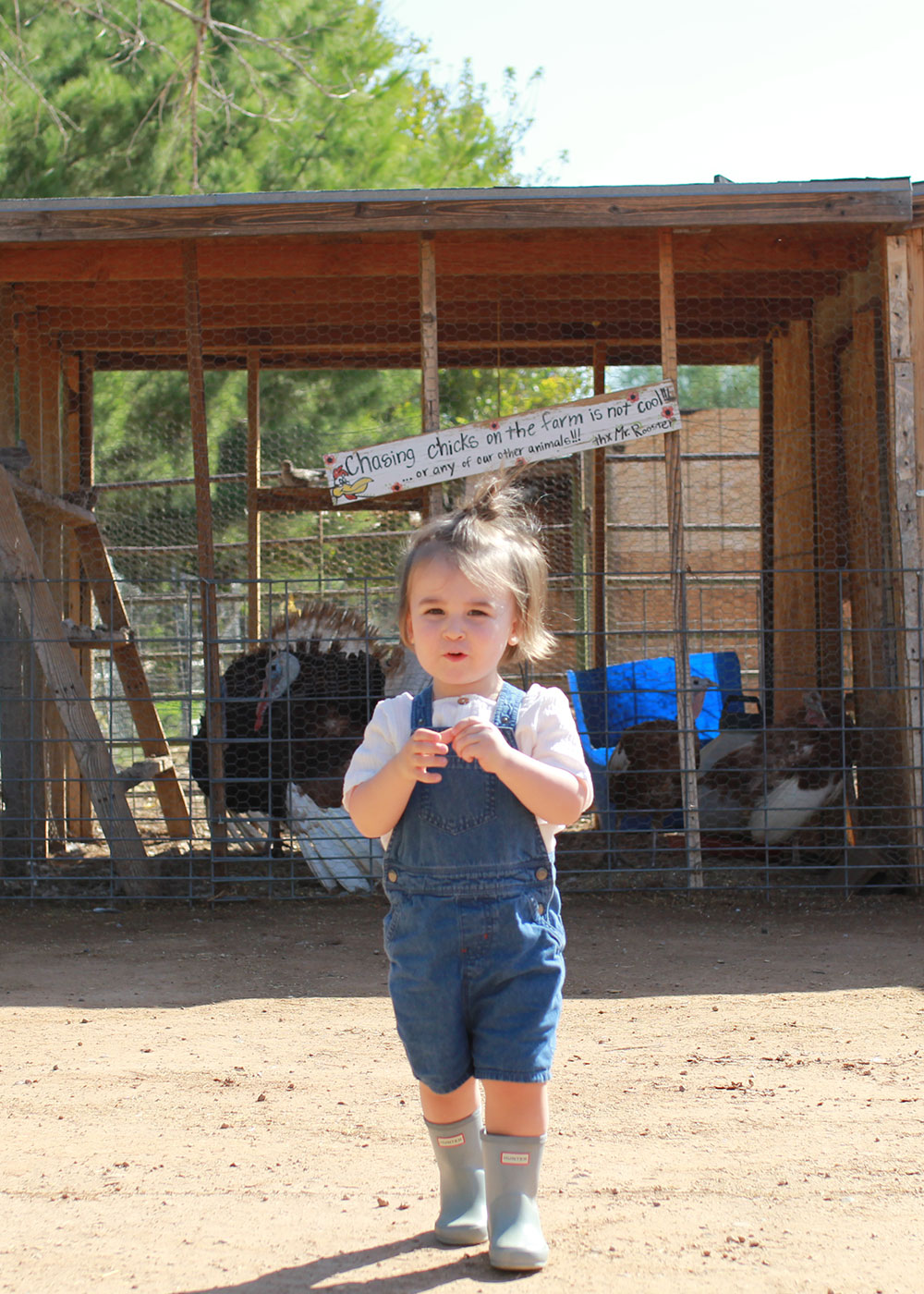 our october pumpkin patch farm visit | thelovedesignedlife.com