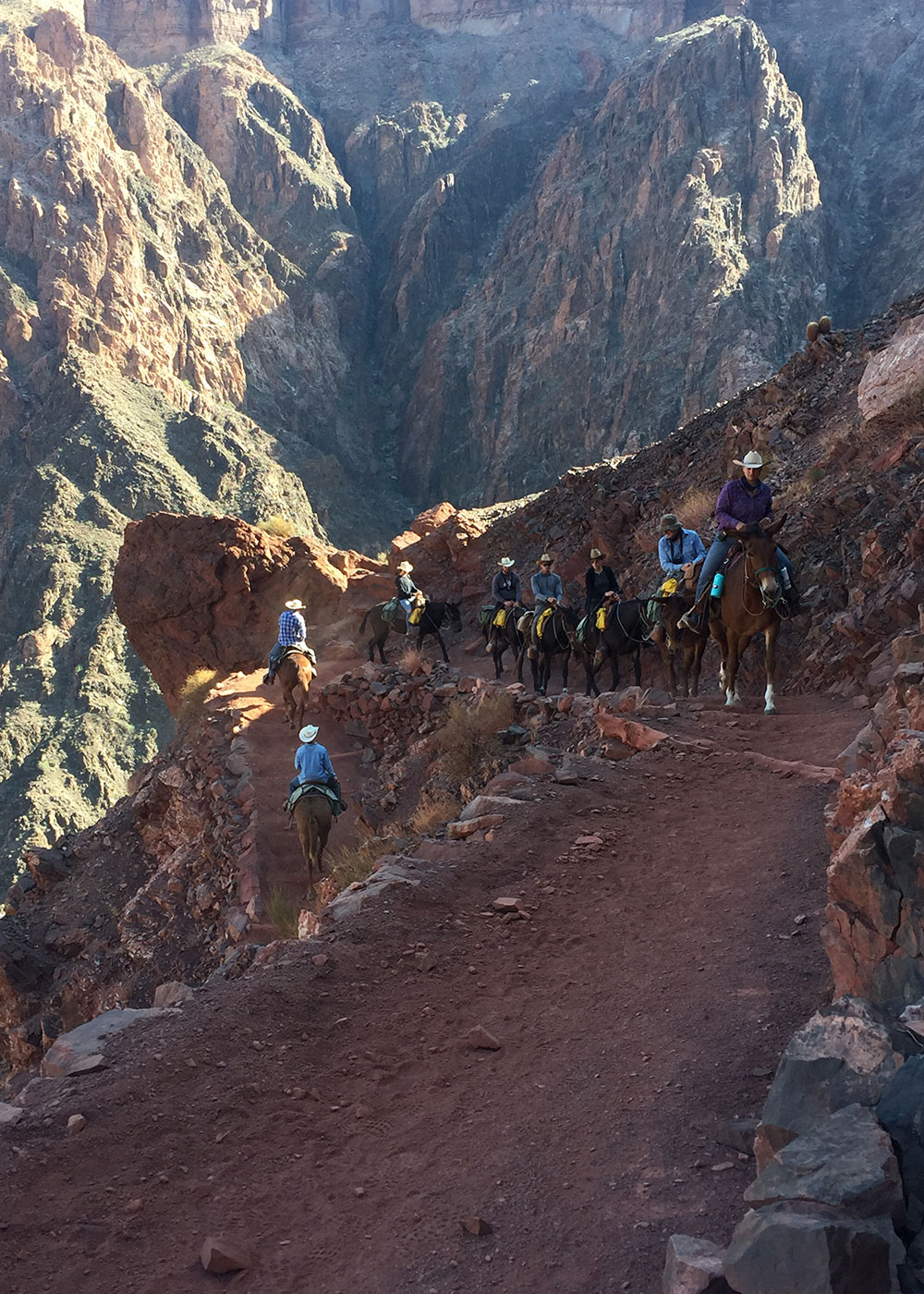 mules transporting some tourists on the grand canyon's north rim | thelovedesigneldife.com #thegrandcanyon #rimtorim