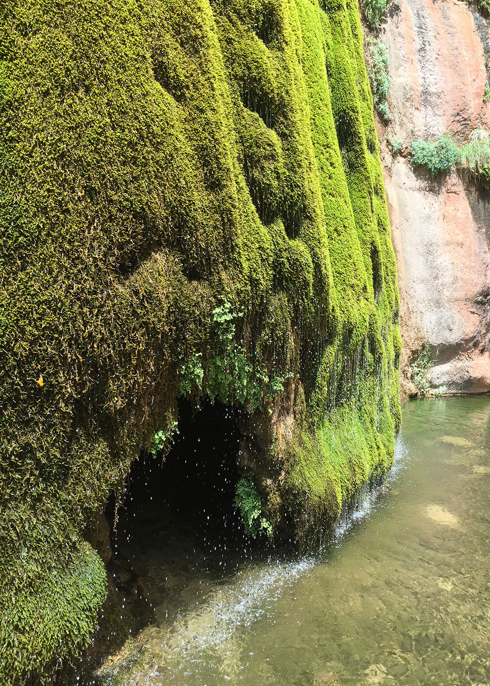 ribbon falls in the grand canyon | thelovedesignedlife.com #grandcanyon #ribbonfalls #getoutside