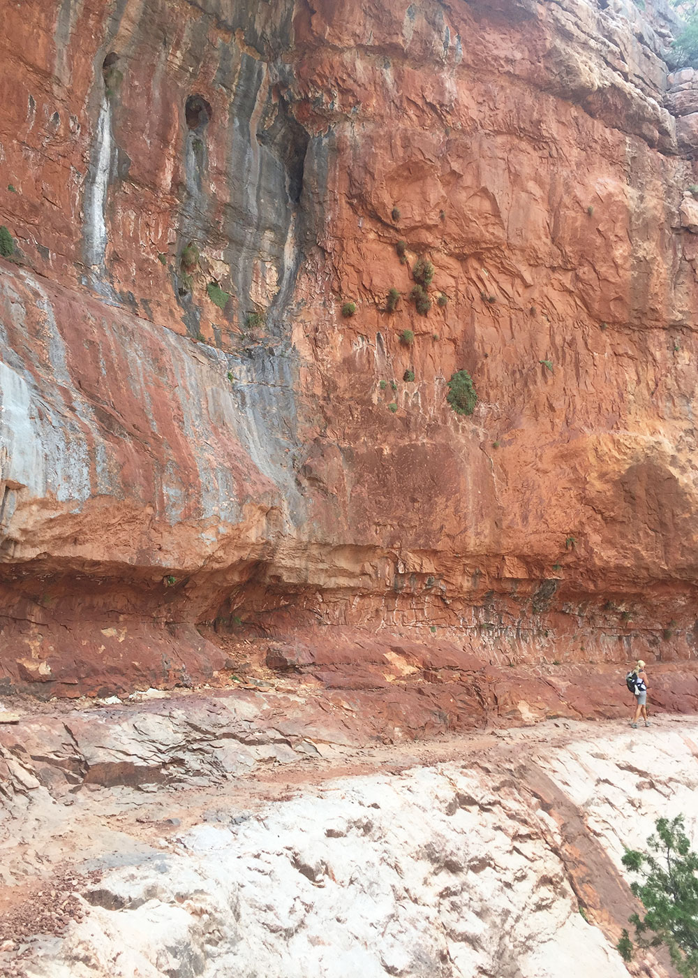 starting our ascent back up the north rim of the grand canyon | thelovedesignedlife.com #grandcanyon #northrim #rimtorim