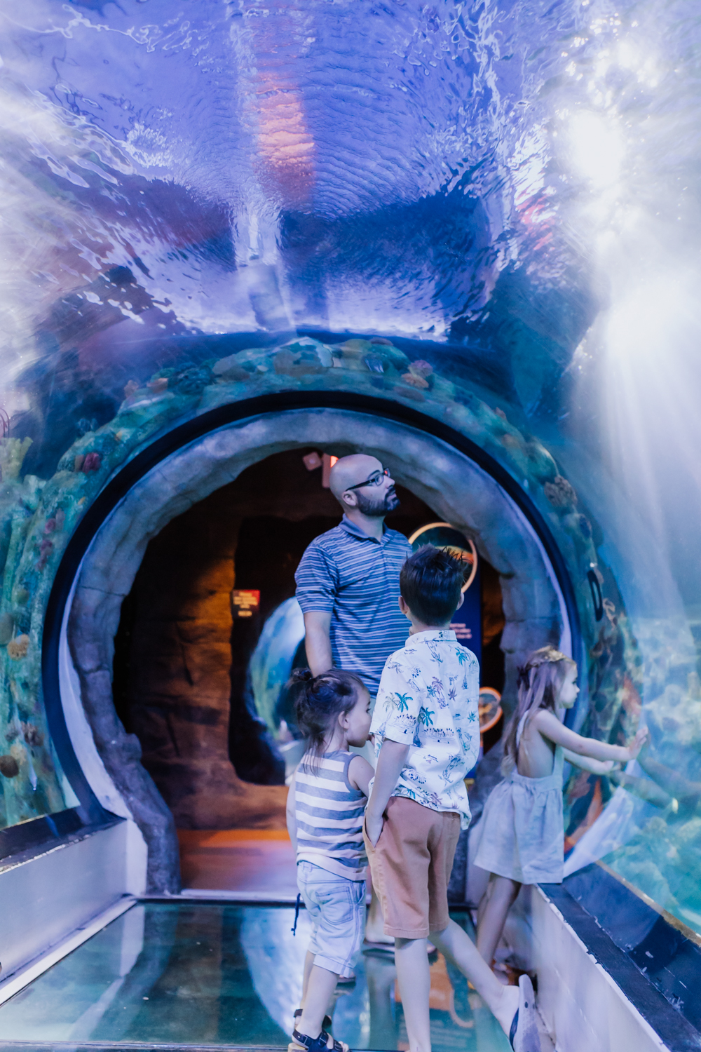 the 360 degree tunnel at SEA LIFE Aquarium Arizona | thelovedesignedlife.com #sealife #aquariumviews