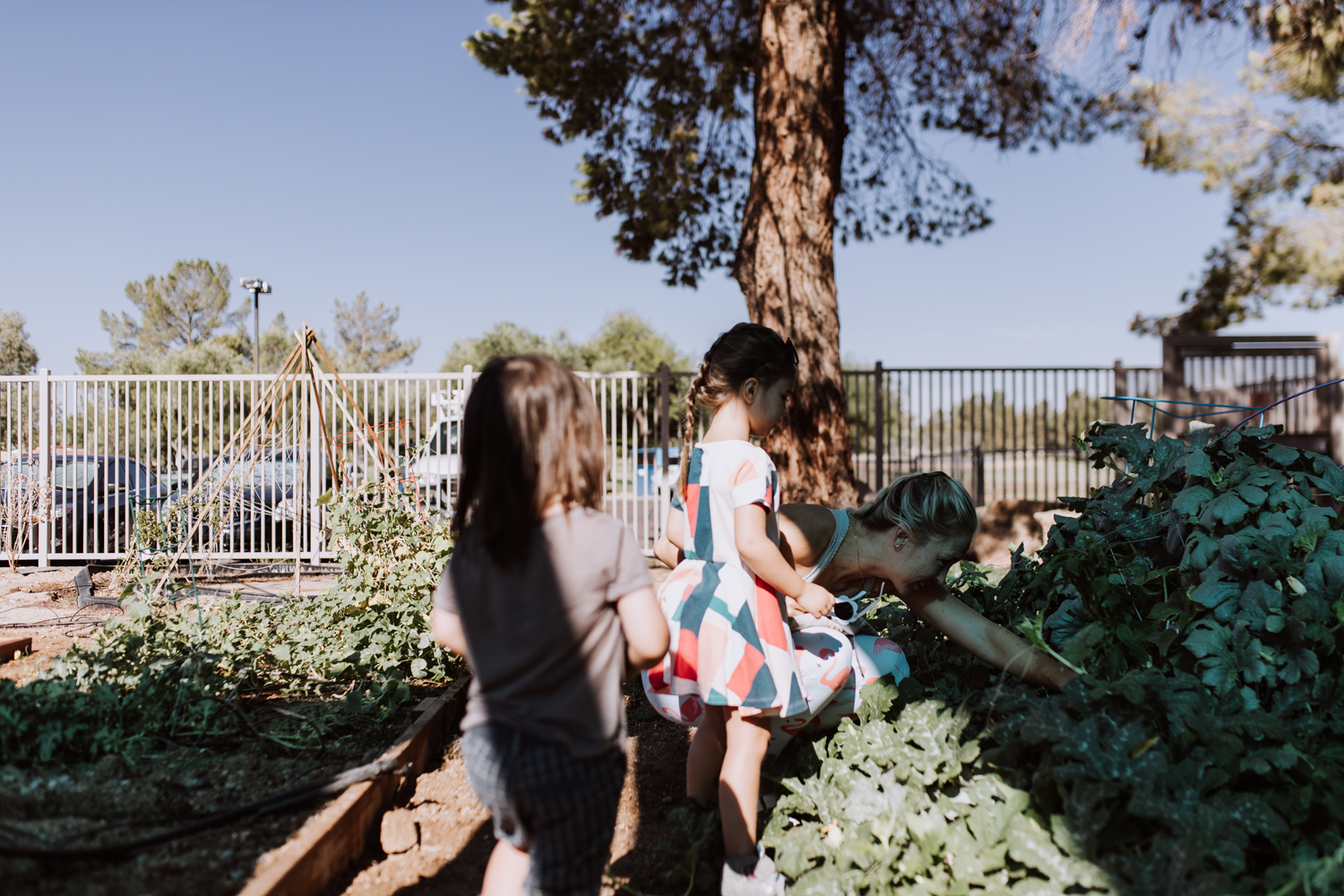 helping in the school garden with these kids! | thelovedesignedlife.com #gardeningforkids