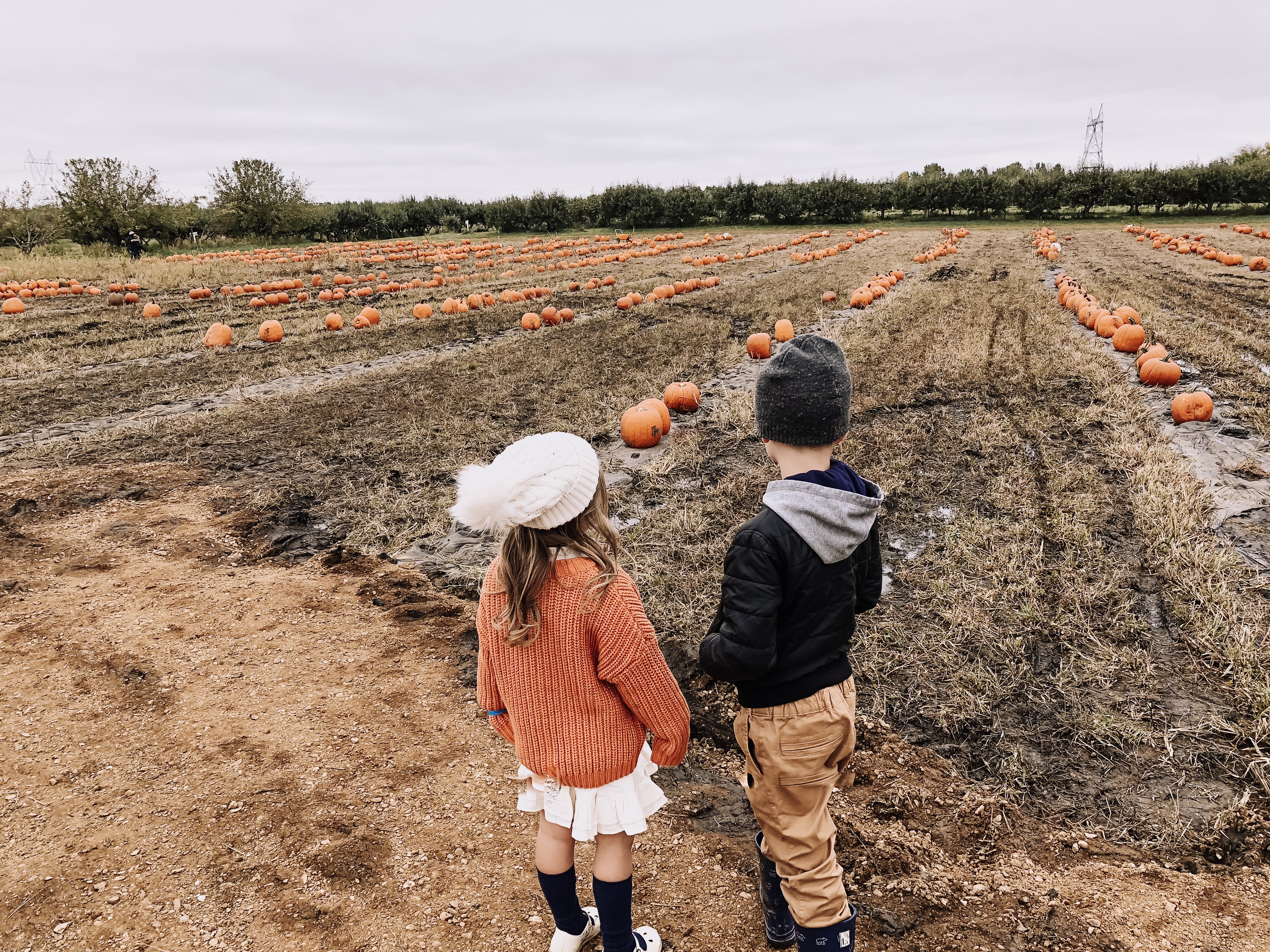 pumpkin patch fall fun with kids | thelovedesignedlife.com #fallfun #pumkinpatch #wheretogoinsouthdakota #fallfun