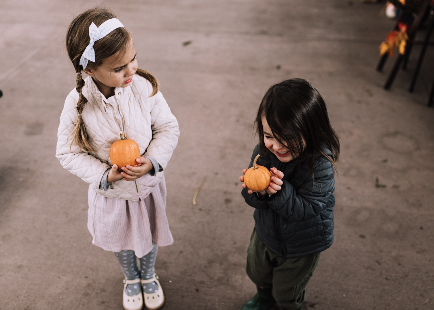 baby pumpkins for my little pumpkins | thelovedesignedlife.com #fall #pumpkins #childhood