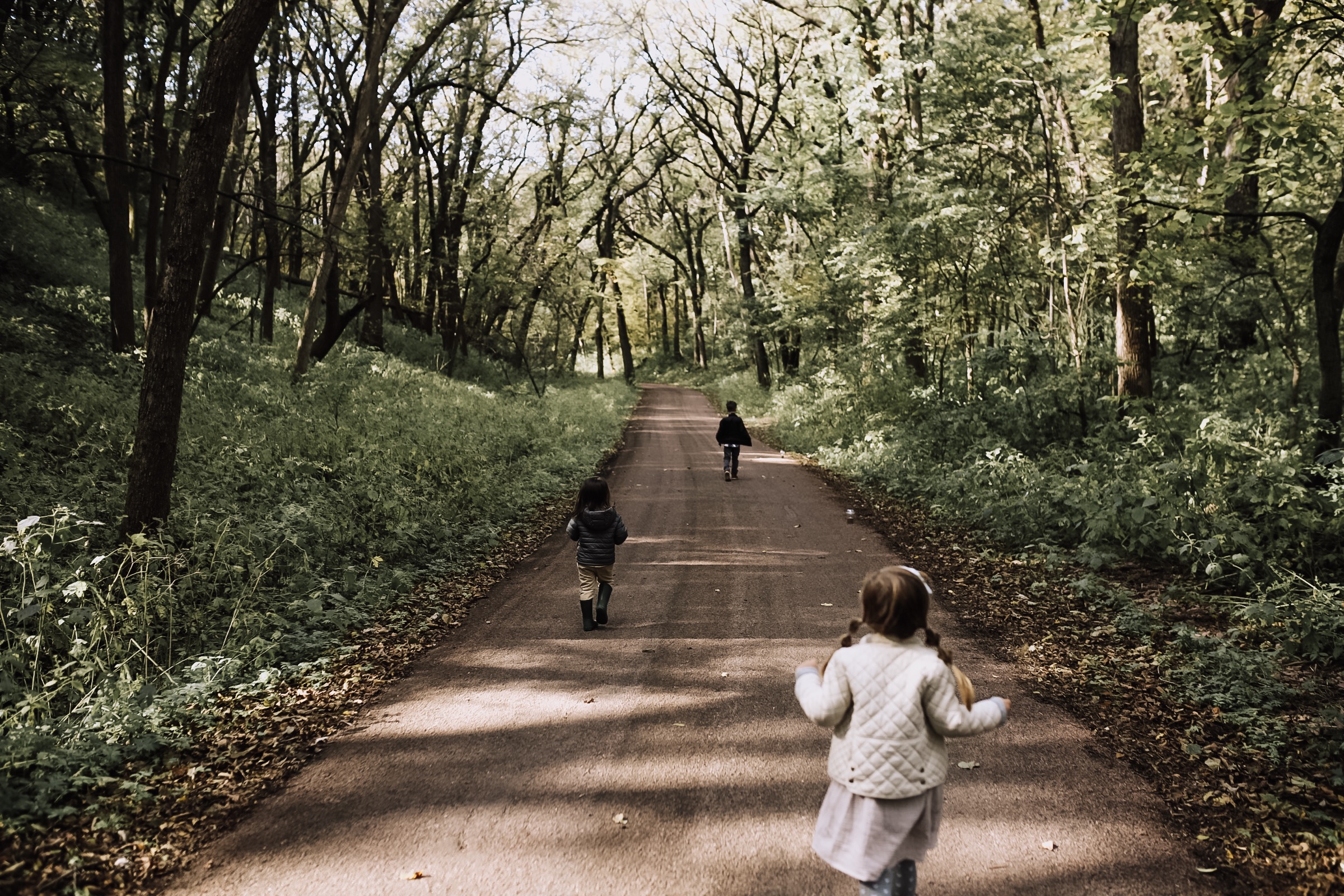 a walk through the park in south dakota | thelovedesignedlife.com #fallfun #forest #familytravel #hifromsd