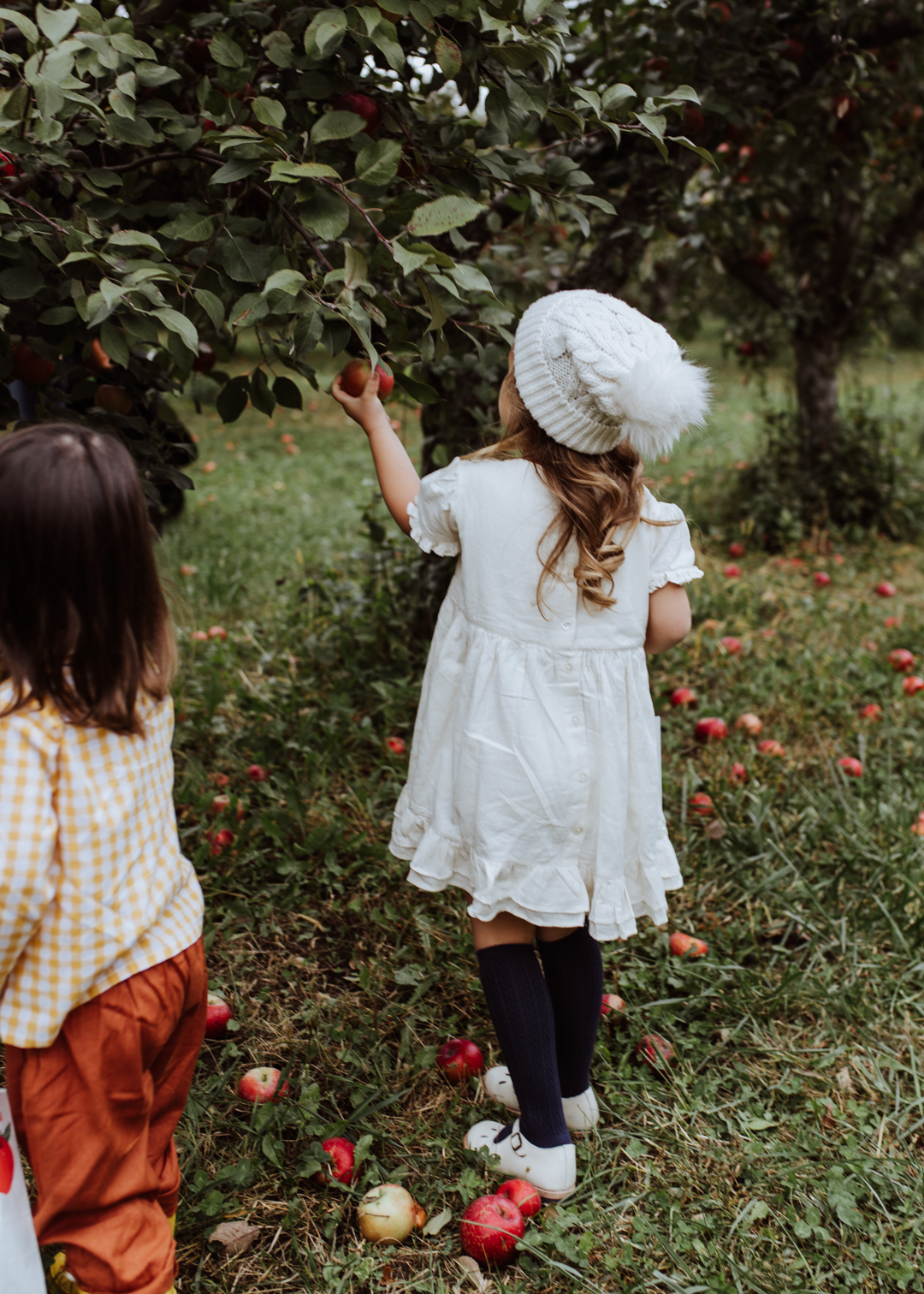 apple picking in south dakota | thelovedesignedlife.com #fallfun #applepicking #funwithkids #seasonsofsodak