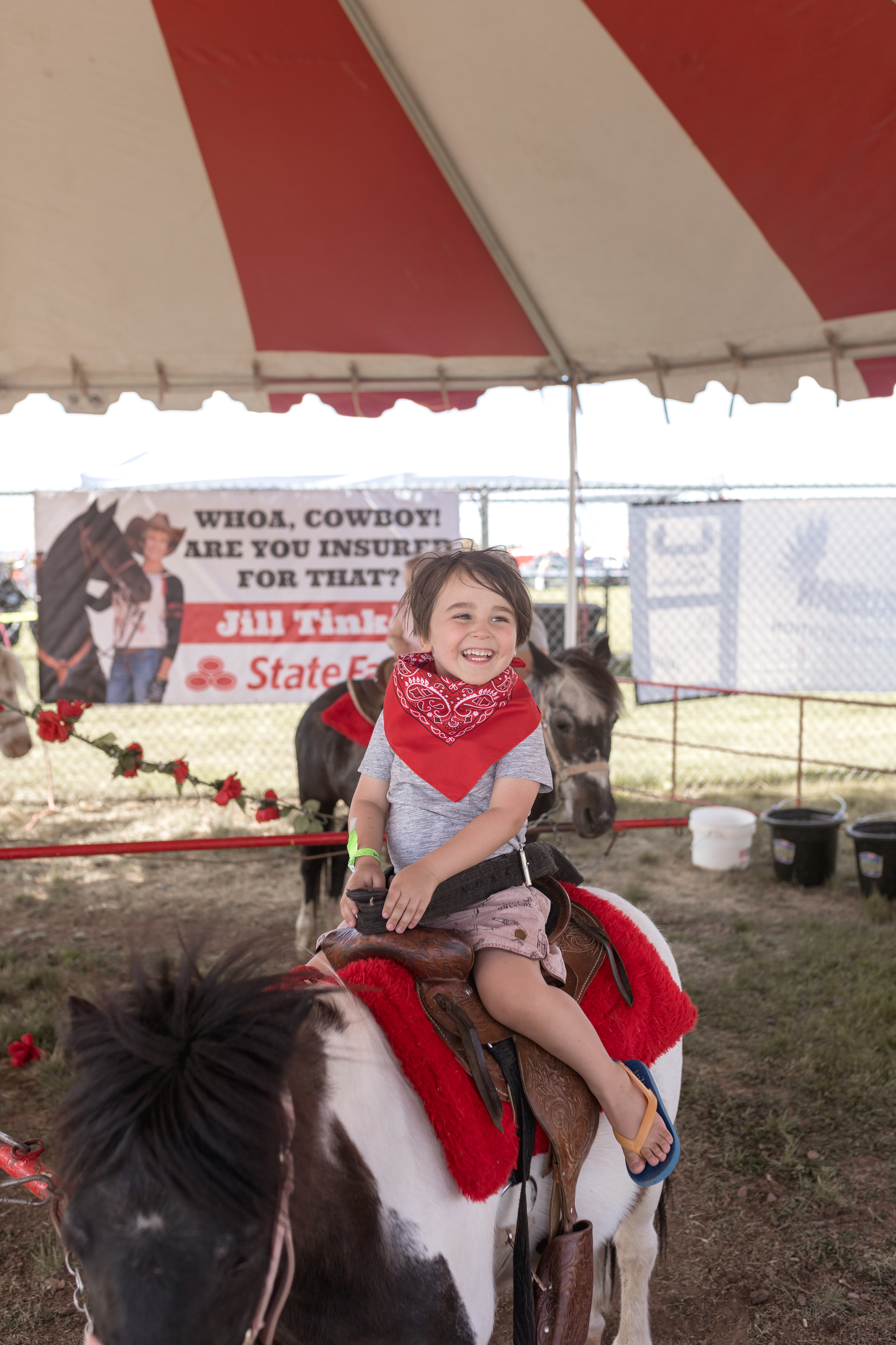 little boy on a pony ride