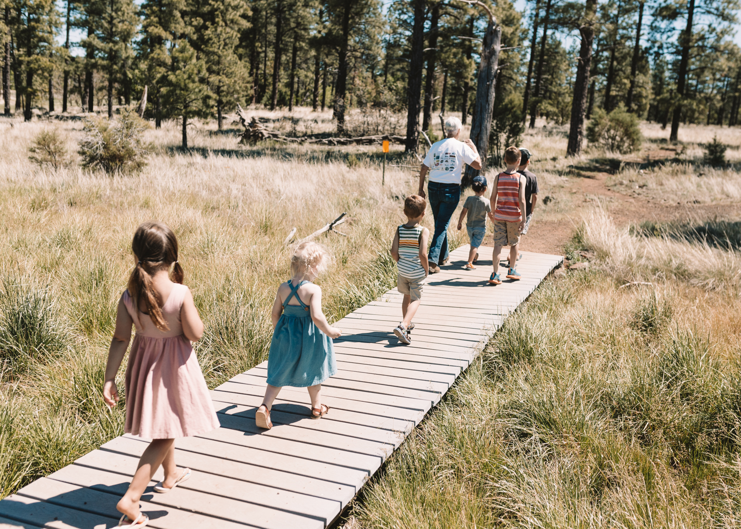 kids on a nature walk in the white mountains