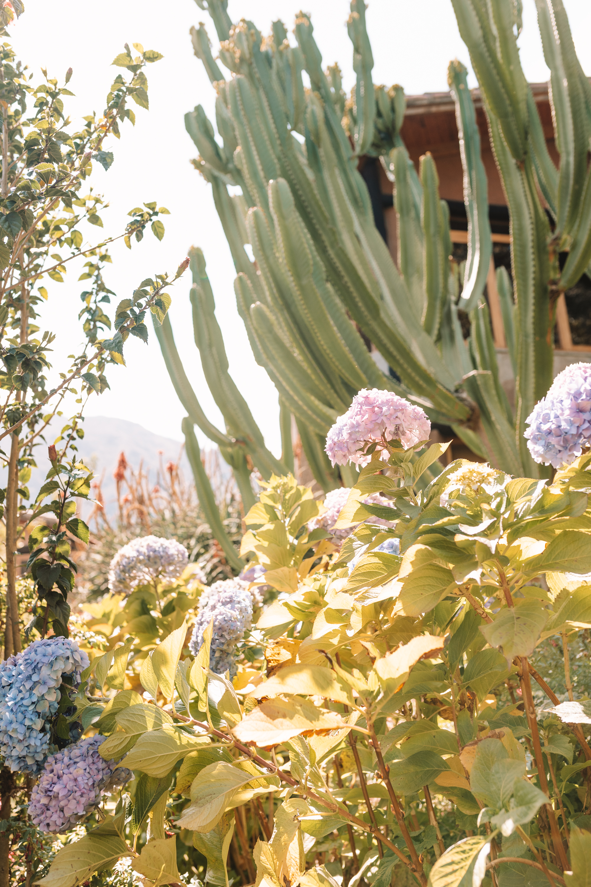 just some of the gorgeous gardens at the Willka Tika retreat center #peru #wanderlust