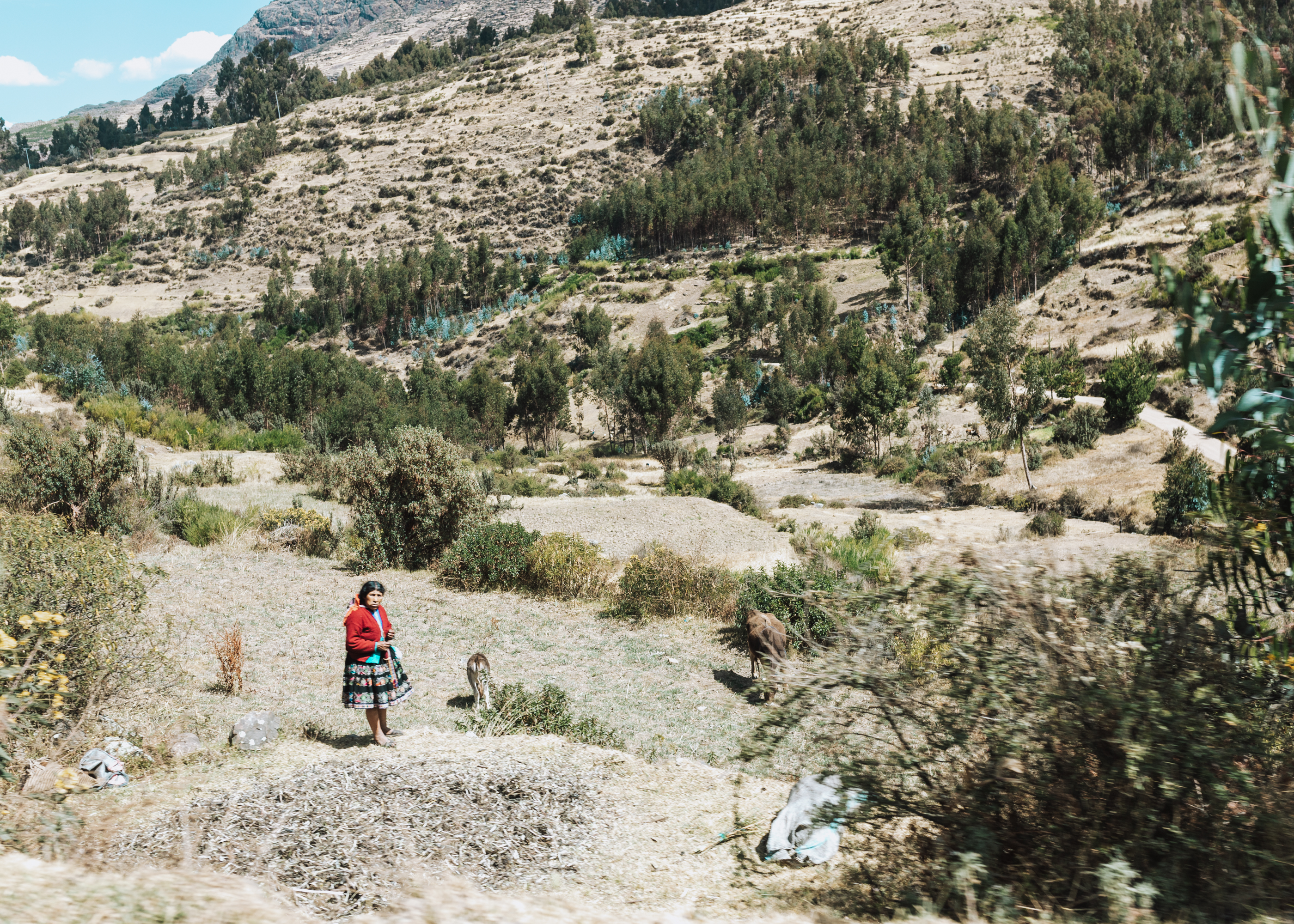 pisac, peru #magicaljourney #peru #travel