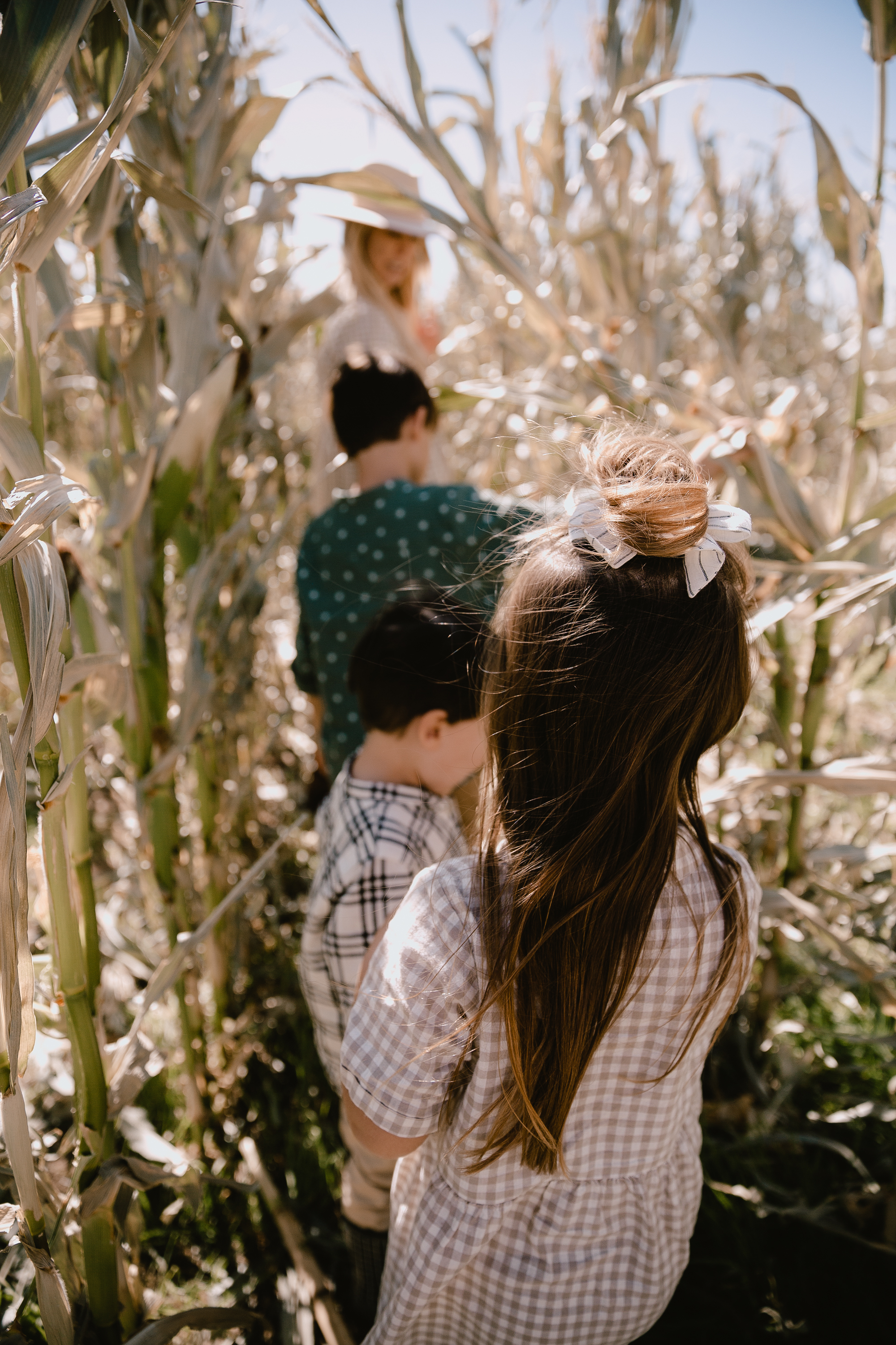 getting lost in the corn maze at the fall festival #pumpkinpatch #fallfashion #harvestfestival