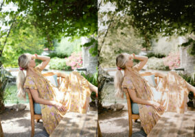 Fairyduster-3