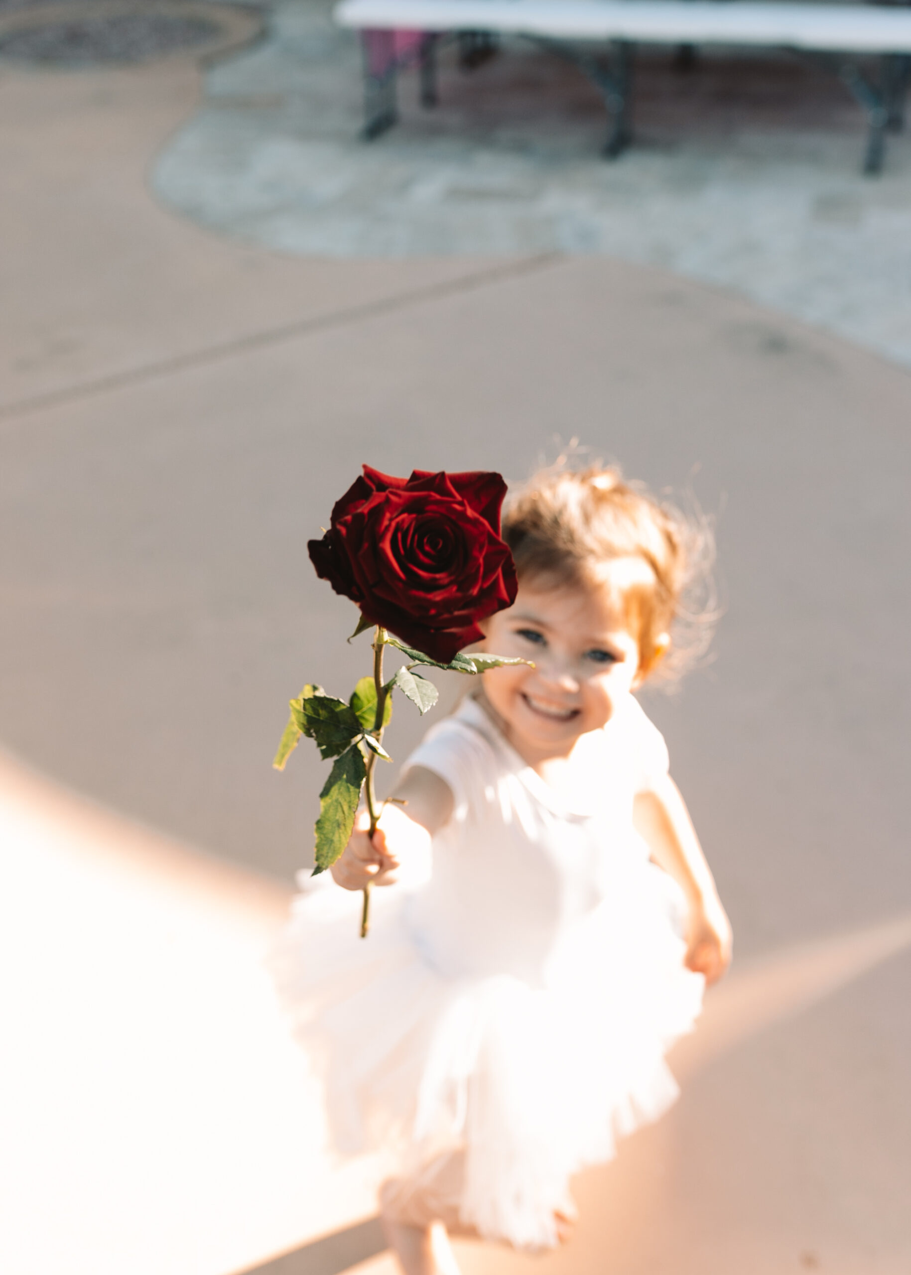 will you accept this rose? #valentinesdayplaydate #roses #galentines