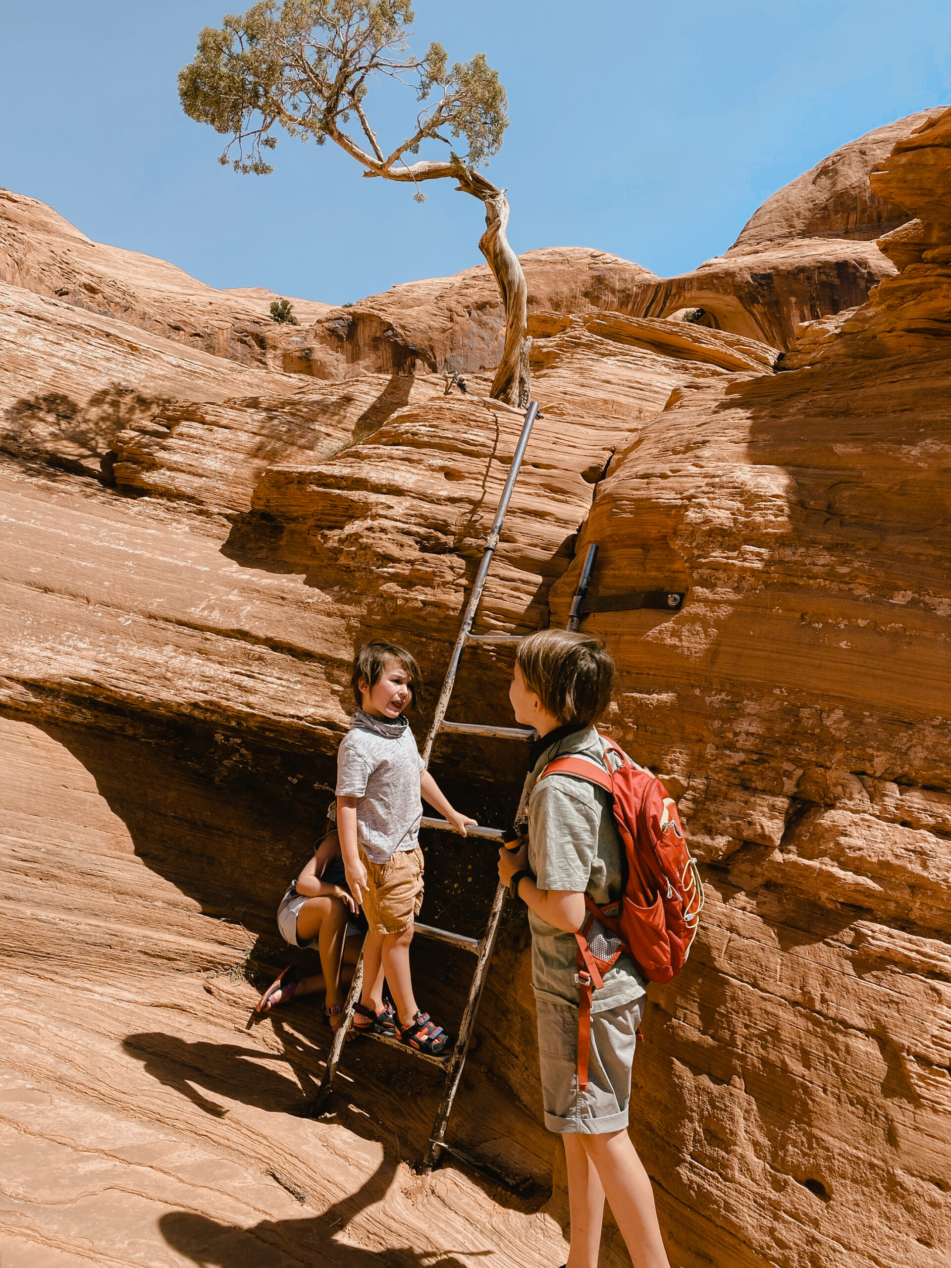 a metal ladder attached to the rock face in Arches National Park, Utah. #theldltravels #roadtrip #summertravel #familytravel