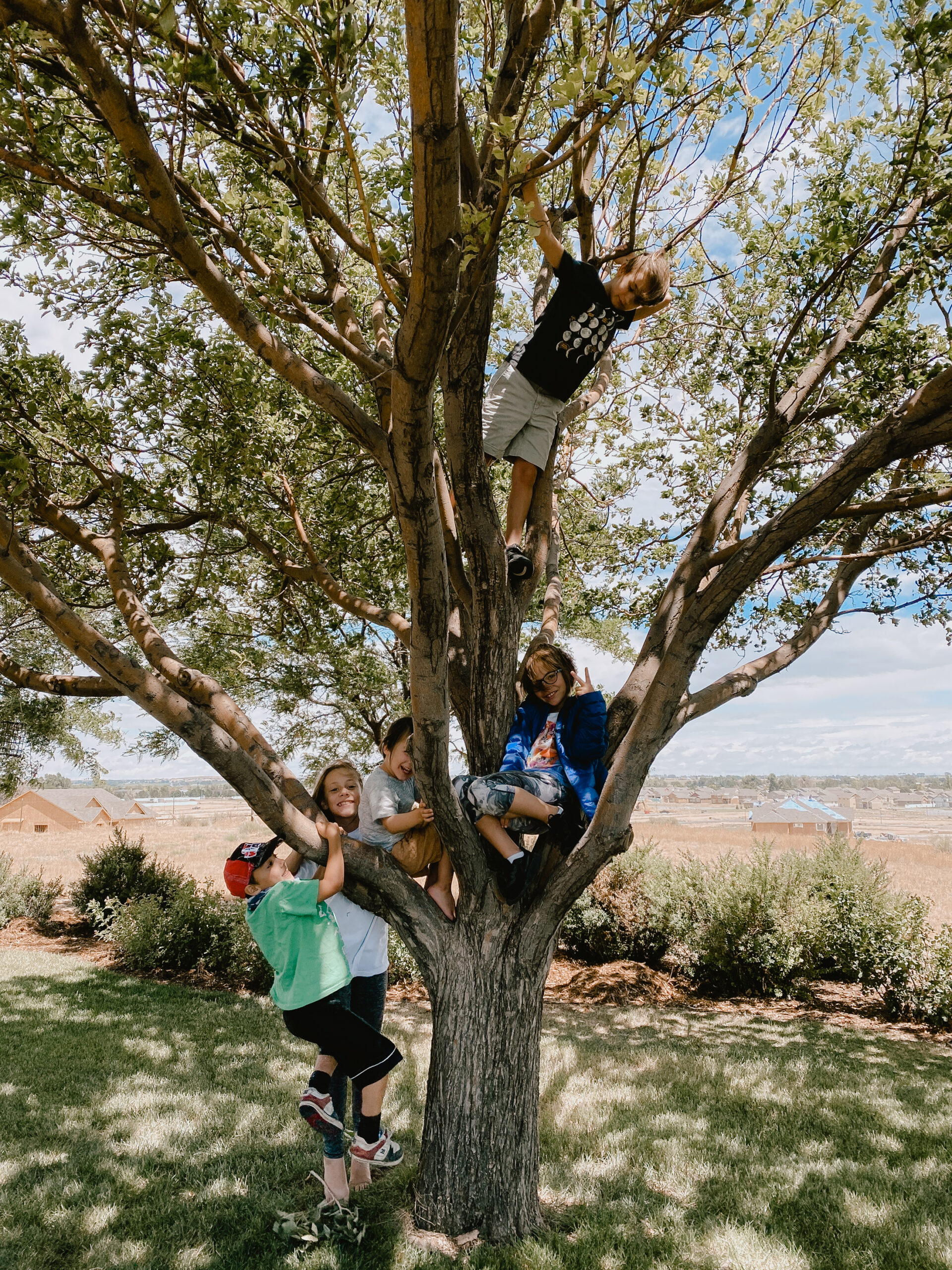 cousins in the tree. #treecliming #cousins #childsplay