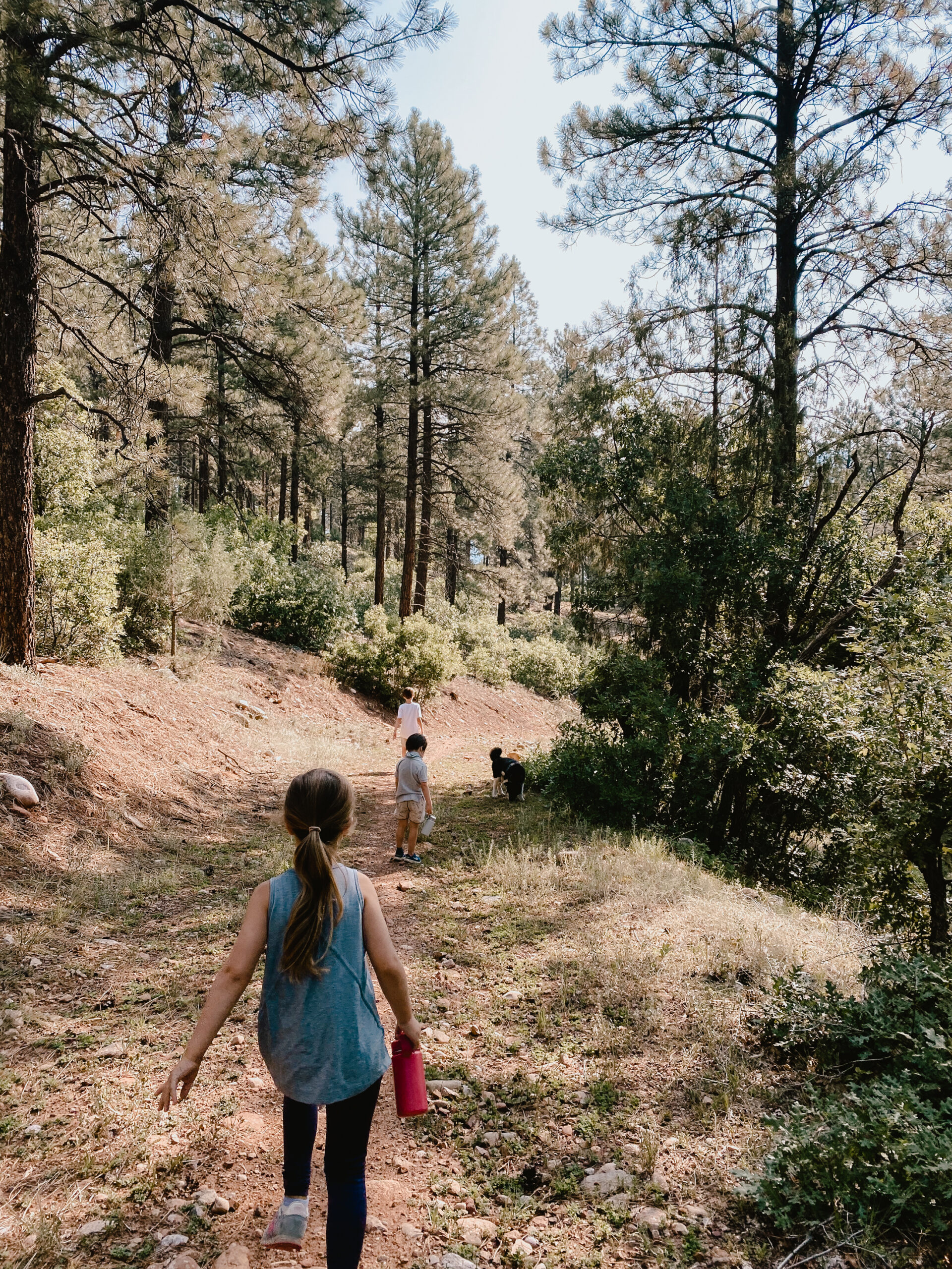 hiking in Durango, Colorado. #coloradomountains #hiking #outdoorswithkids #hikingwithkids