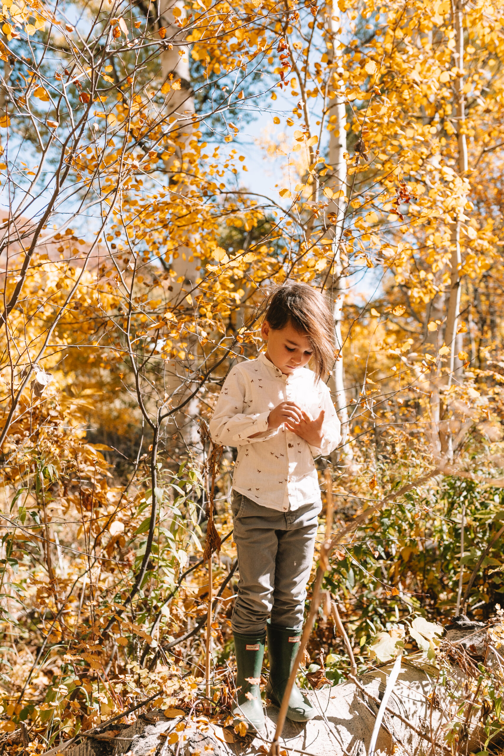 my handsome baby boy exploring in the leaves #fallincolorado