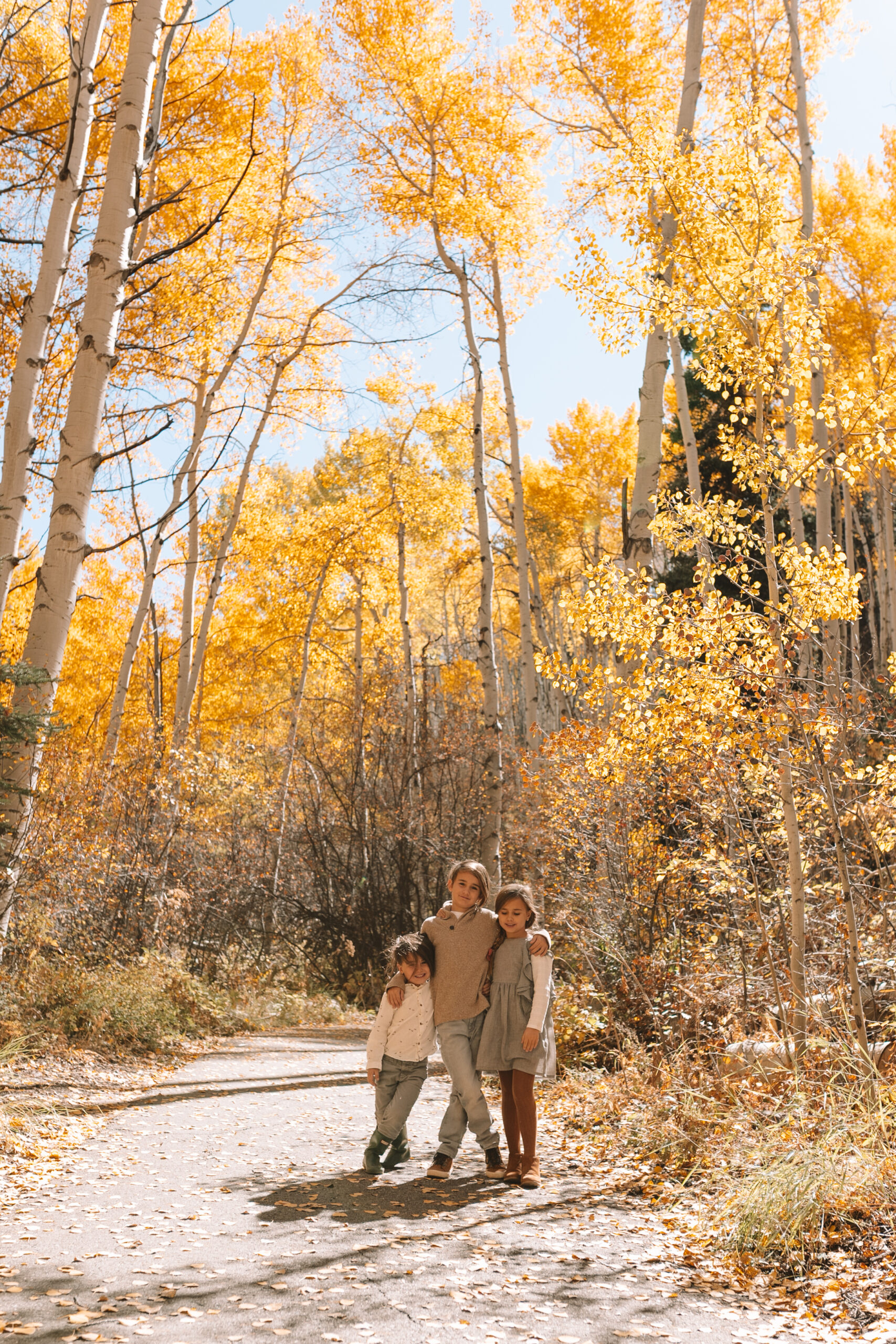 the most beautiful fall leaves on the aspen trees in aspen, colorado #thelovedesignedlife #theldltravels #fallleaves