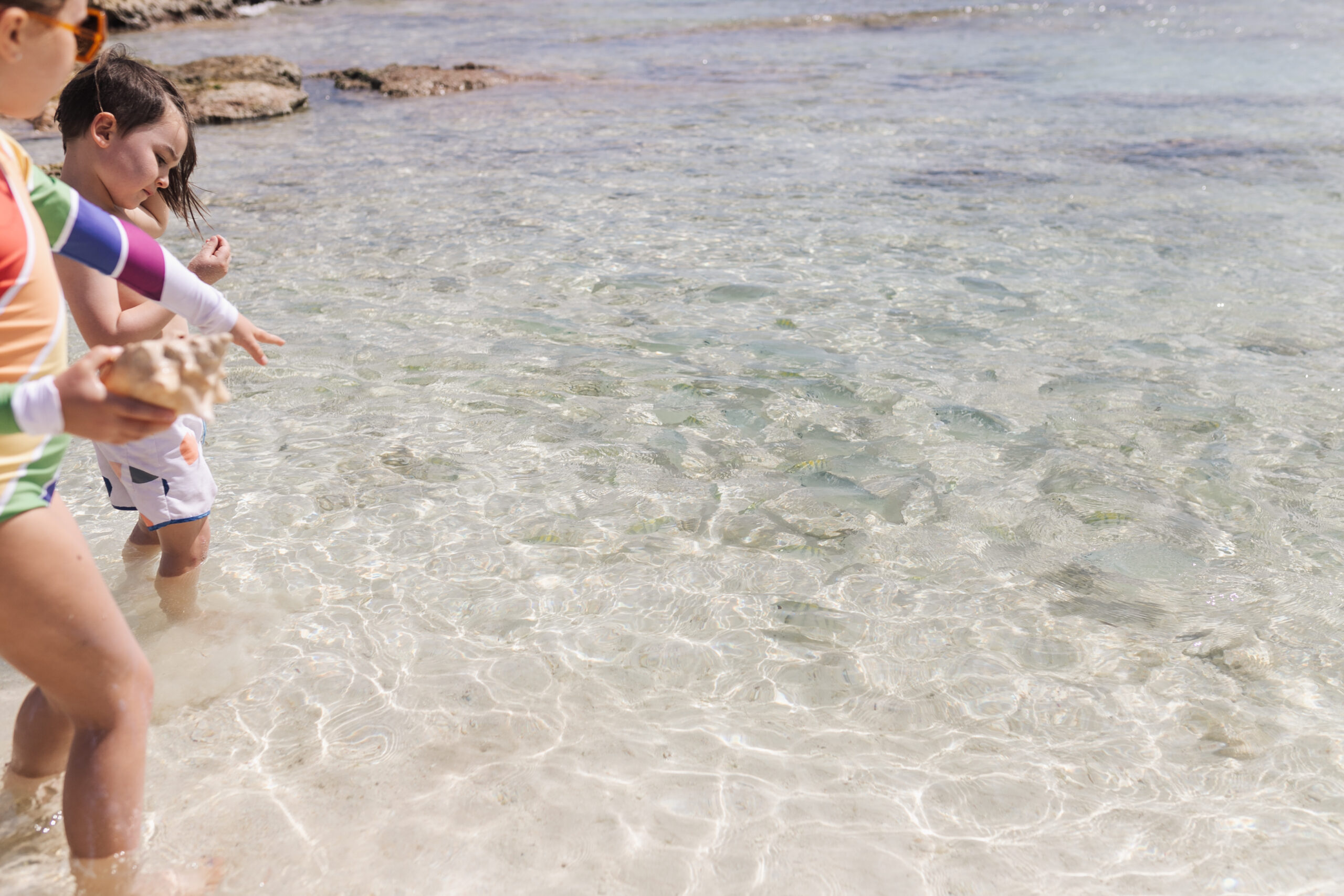 look at the fishies swimming in the crystal clear caribbean water #mexico #rivieramaya #fish