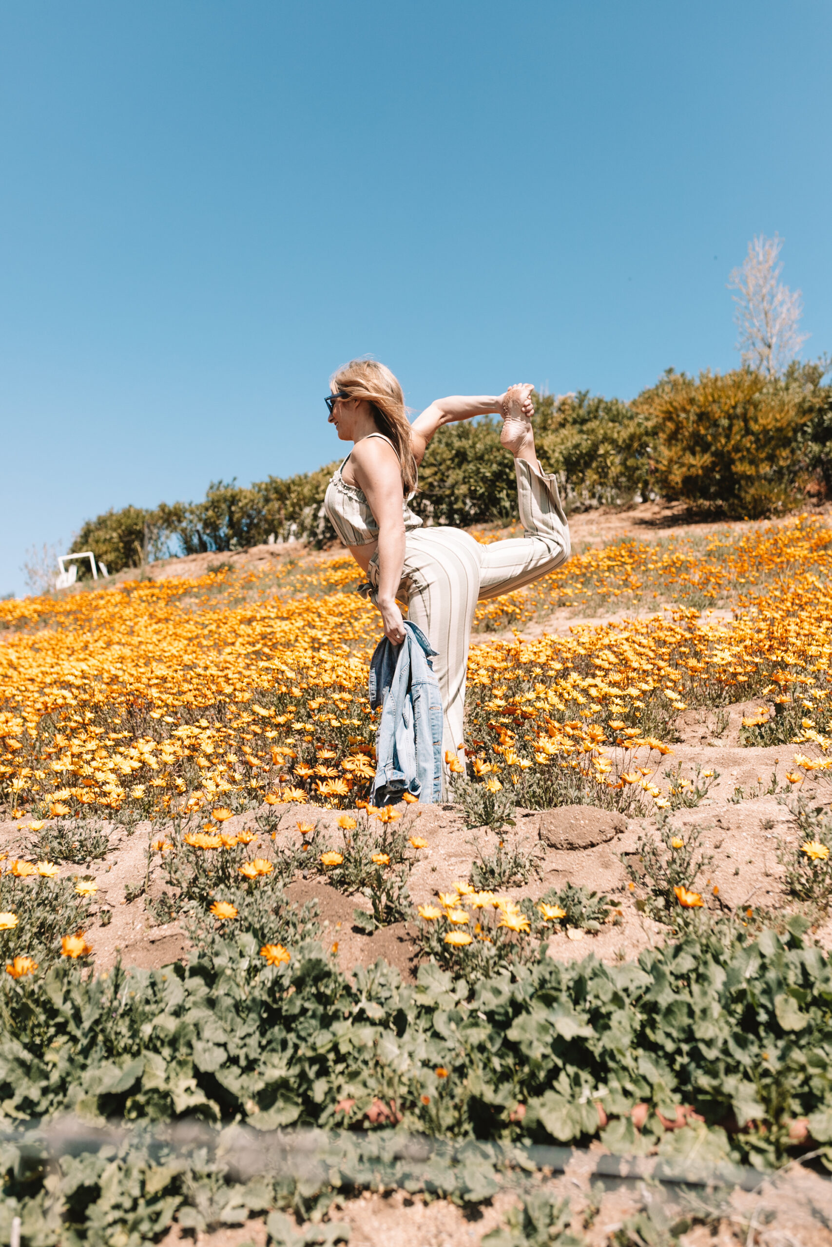 yoga in a field of flowers