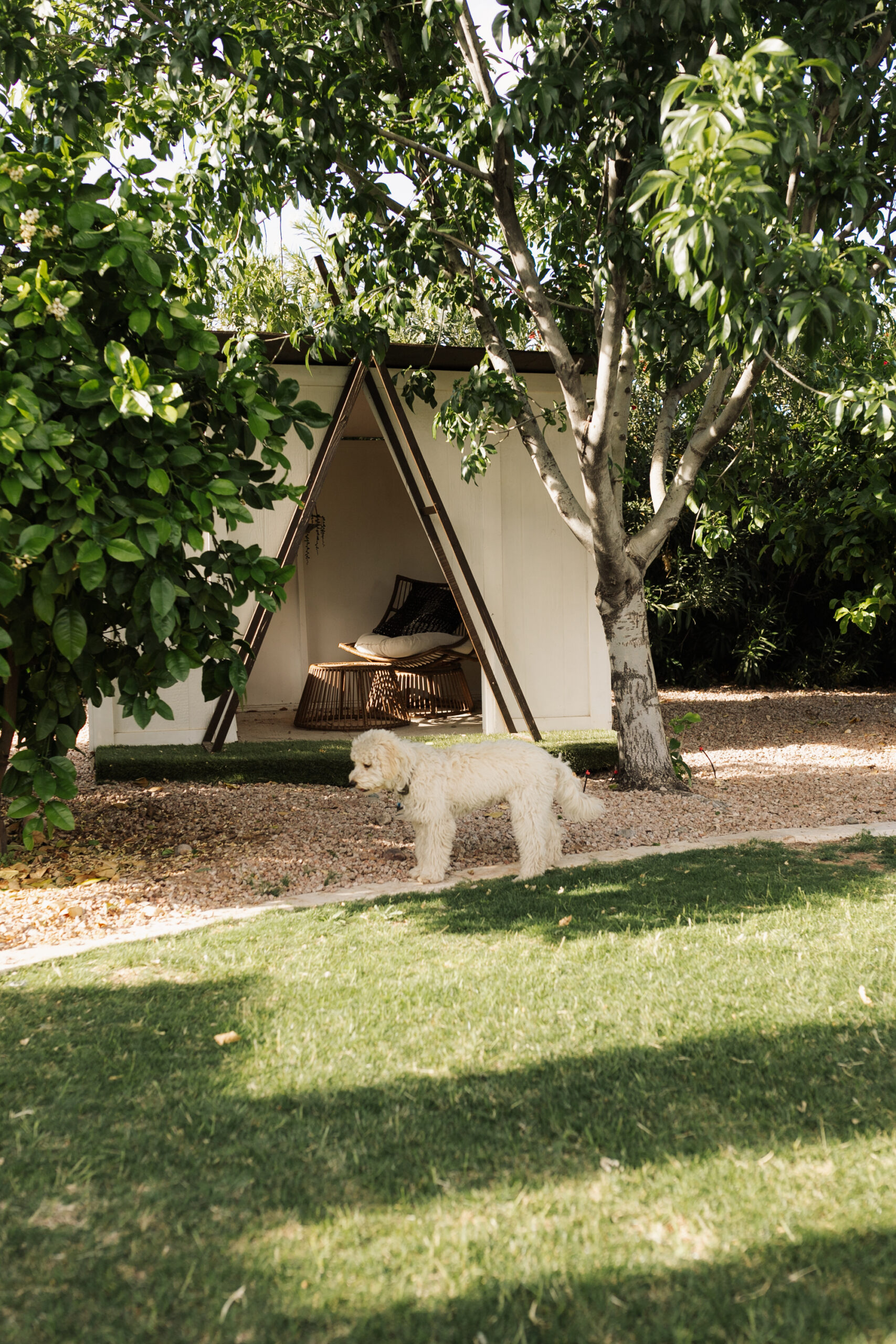 the kids' backyard "clubhouse" where they spend hours playing pretend. #theldlhome #thelovedesignedlife #backyardplayhouse #playhouse #clubhouse 