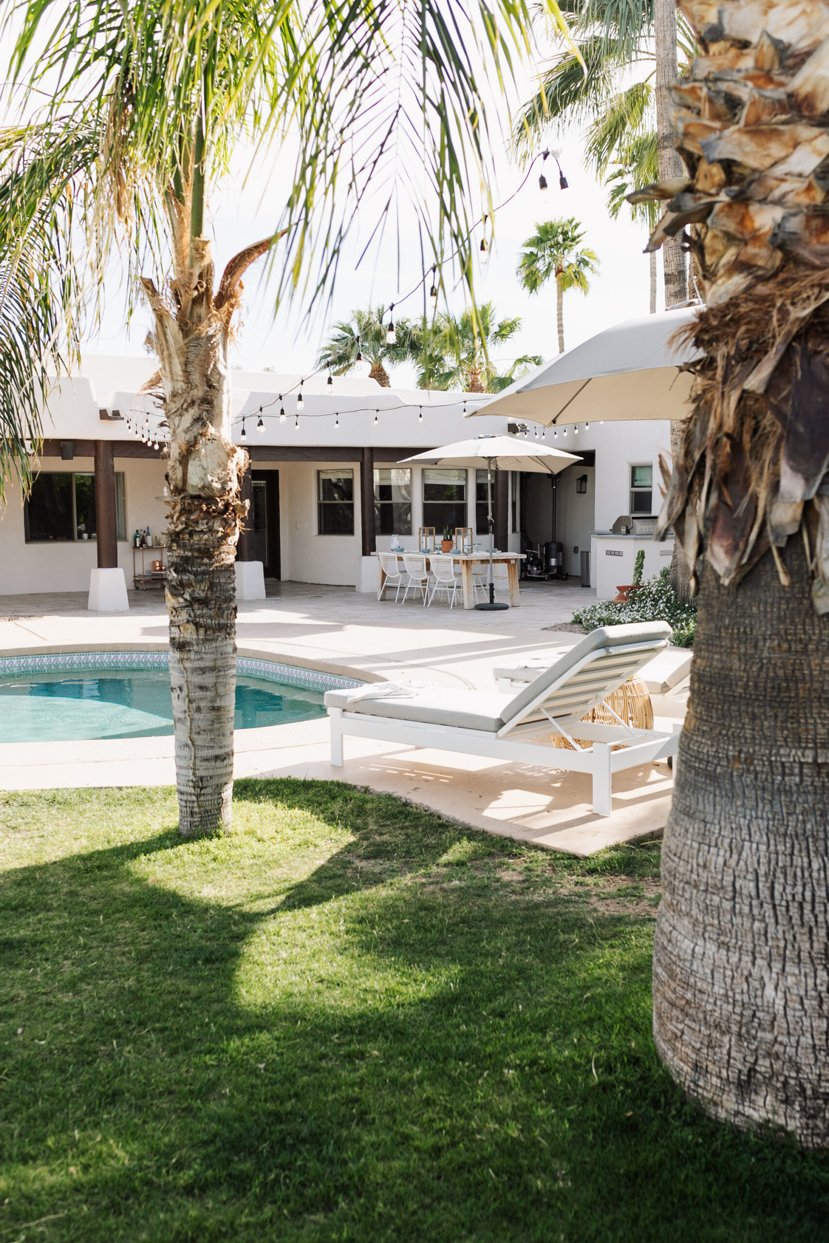 love this view from our modern backyard in the desert #arizona #azliving #modernbackyarddesign
