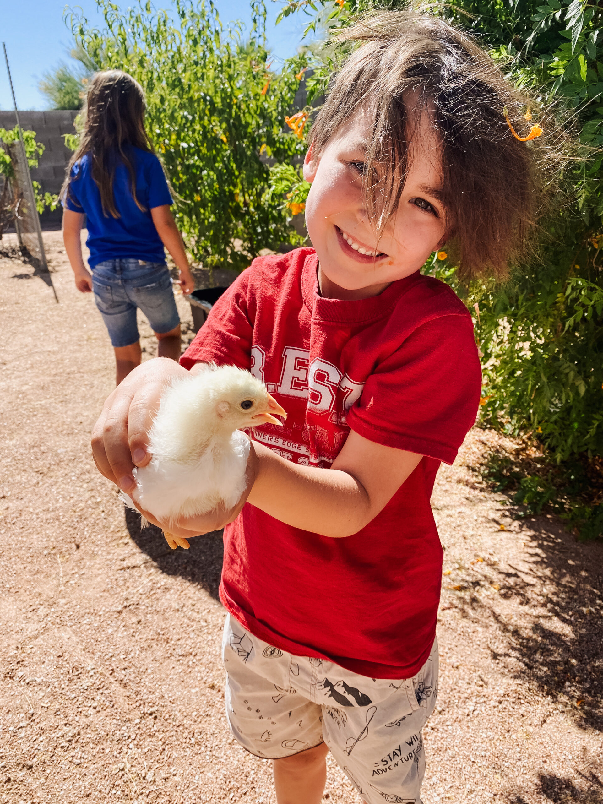 the kids love the chickens so far! #thelovedesignedlife #babychicks #backyardchickens