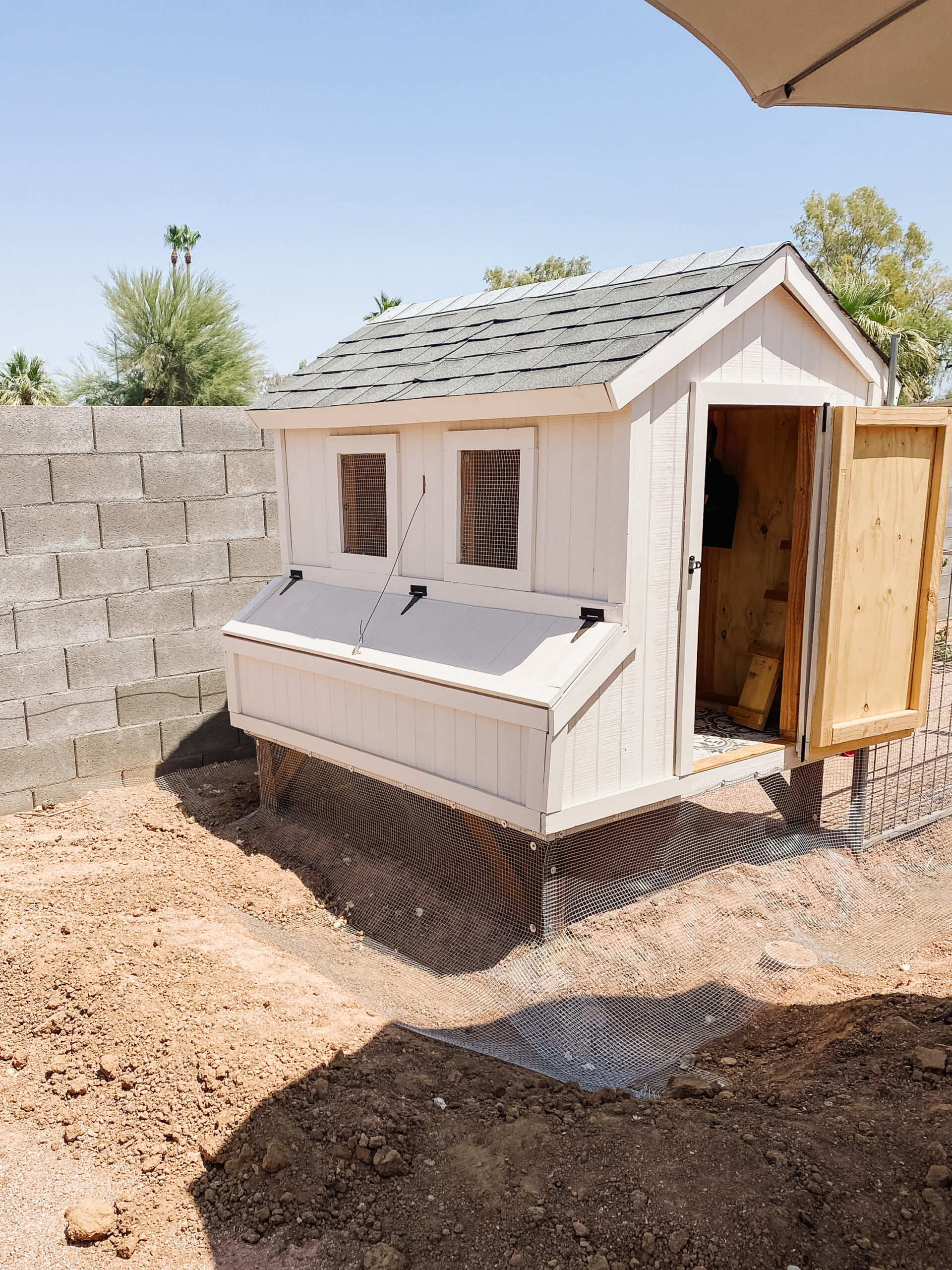 building our predator proof desert chicken coop and run #theldlhome #homestead #chickencoop #DIYchickencoop